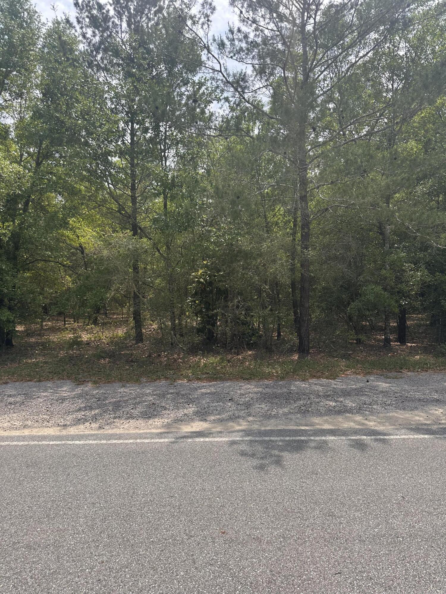 Lot 14 Blk 18 Windflower Street, DeFuniak Springs