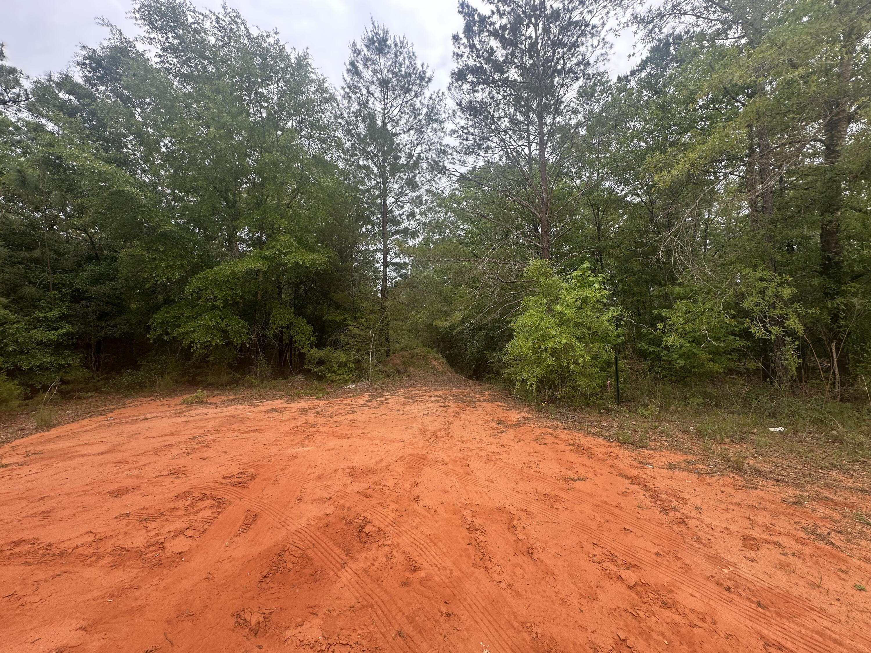 Lot 20&21 E Orange Blossom Avenue, DeFuniak Springs