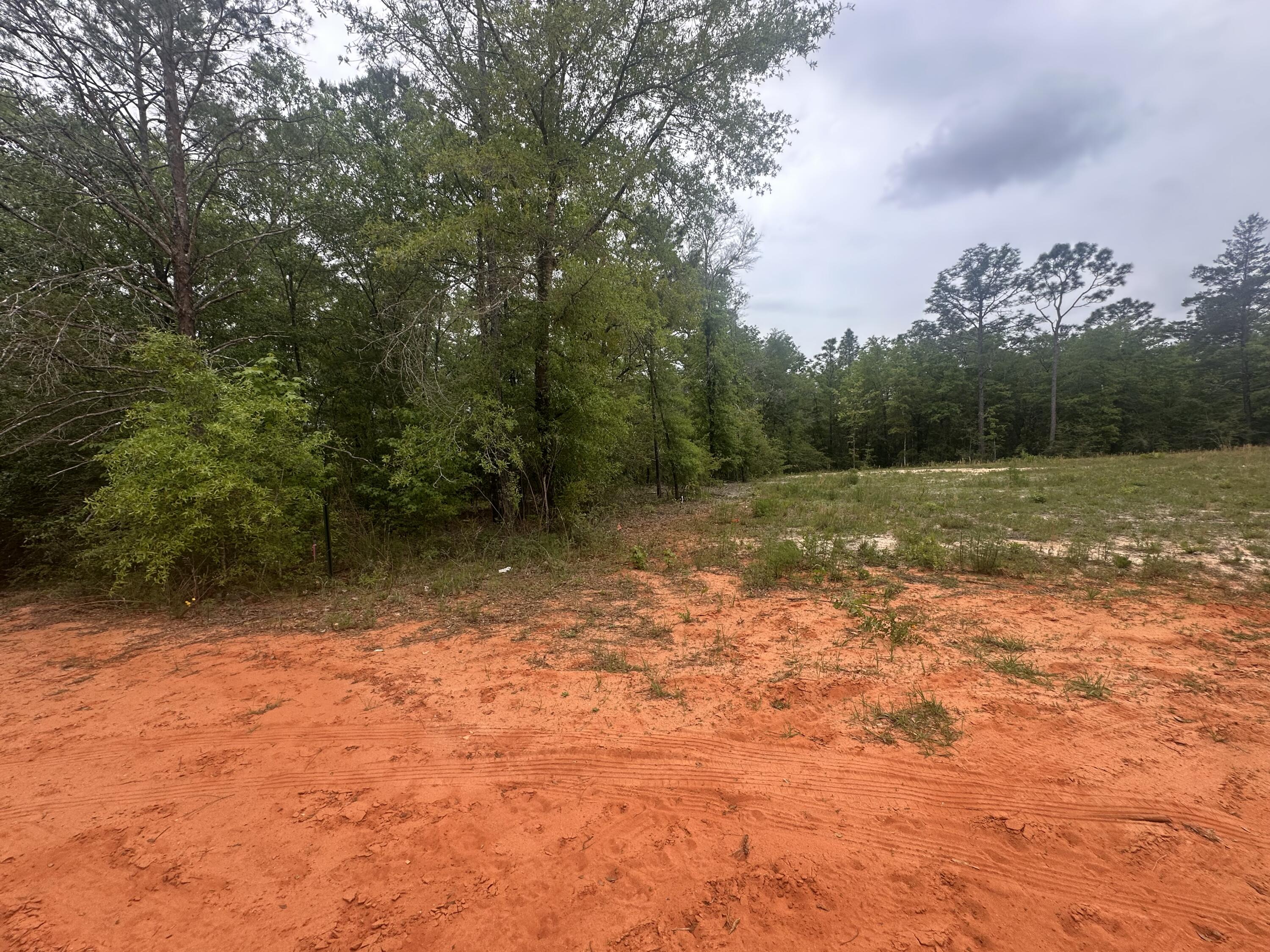 Lot 20&21 E Orange Blossom Avenue, DeFuniak Springs