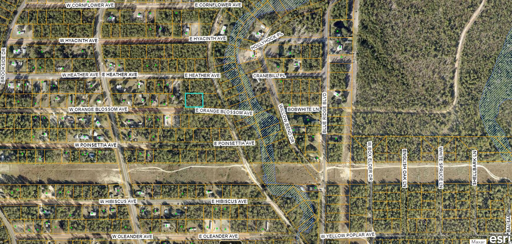 Lot 20&21 E Orange Blossom Avenue, DeFuniak Springs