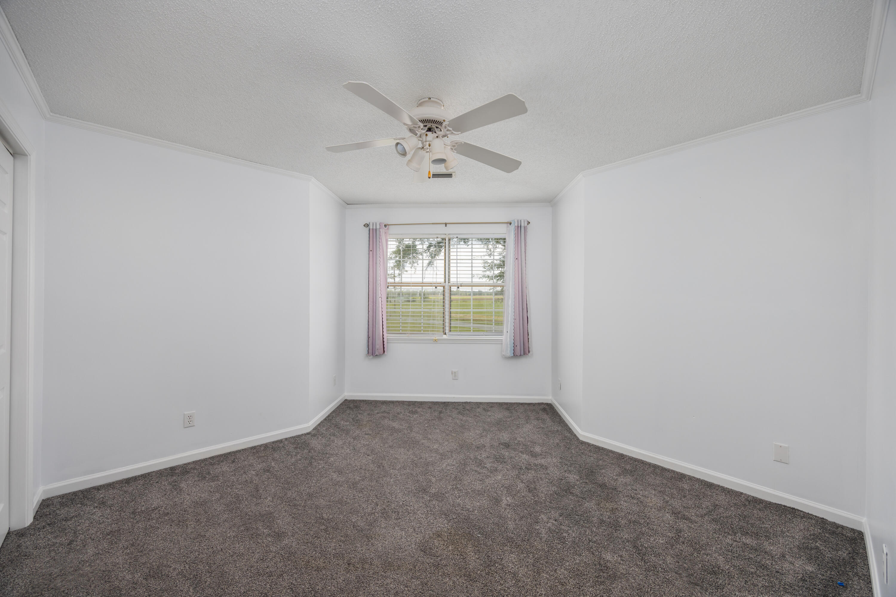 894 Haley Drive