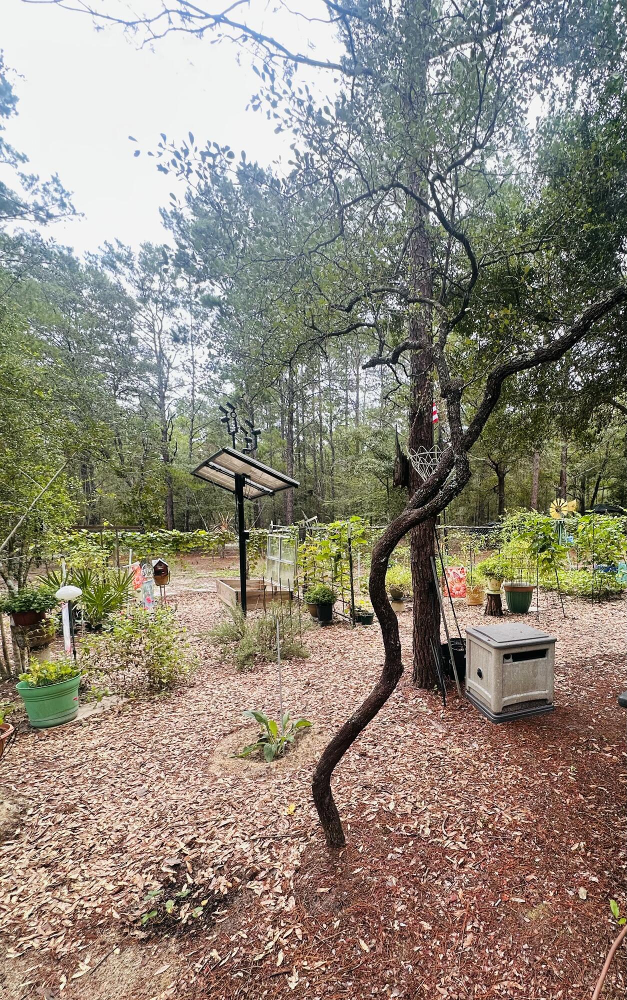 LOTS 23-25 E DOGWOOD Avenue, DeFuniak Springs