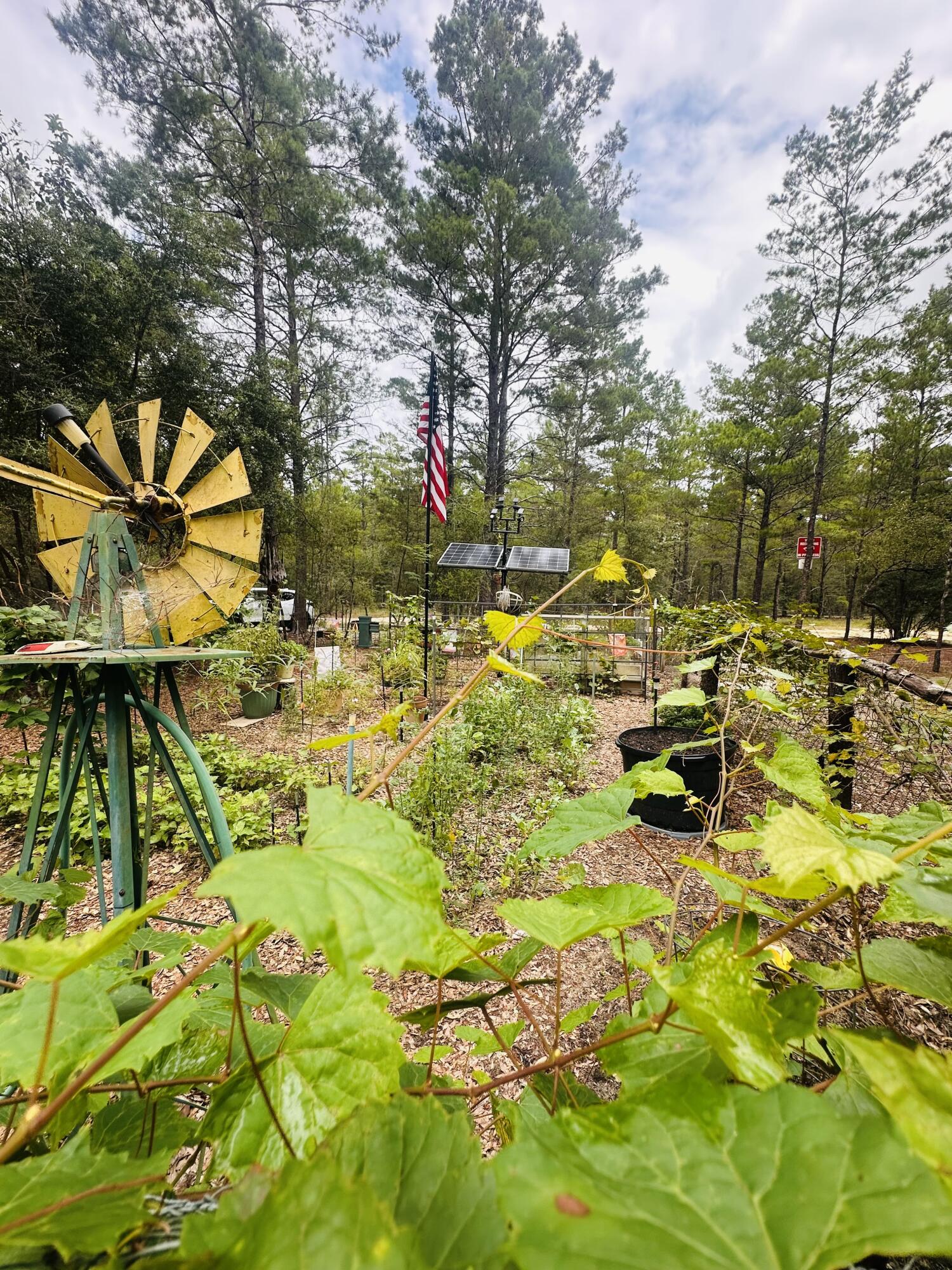 LOTS 23-25 E DOGWOOD Avenue, DeFuniak Springs