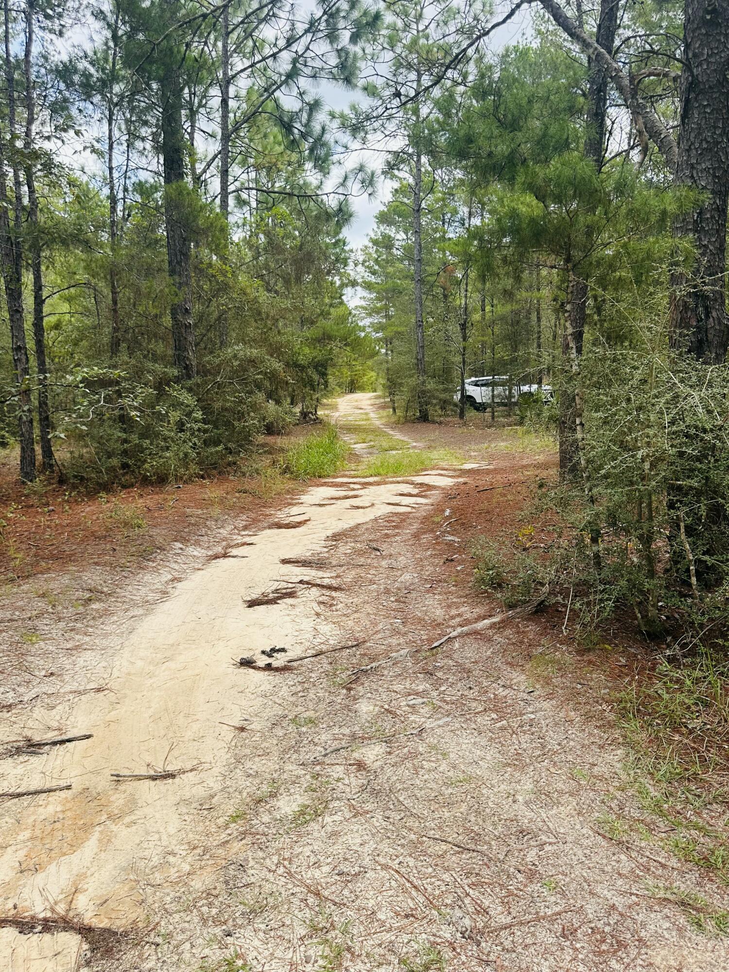 LOTS 23-25 E DOGWOOD Avenue, DeFuniak Springs