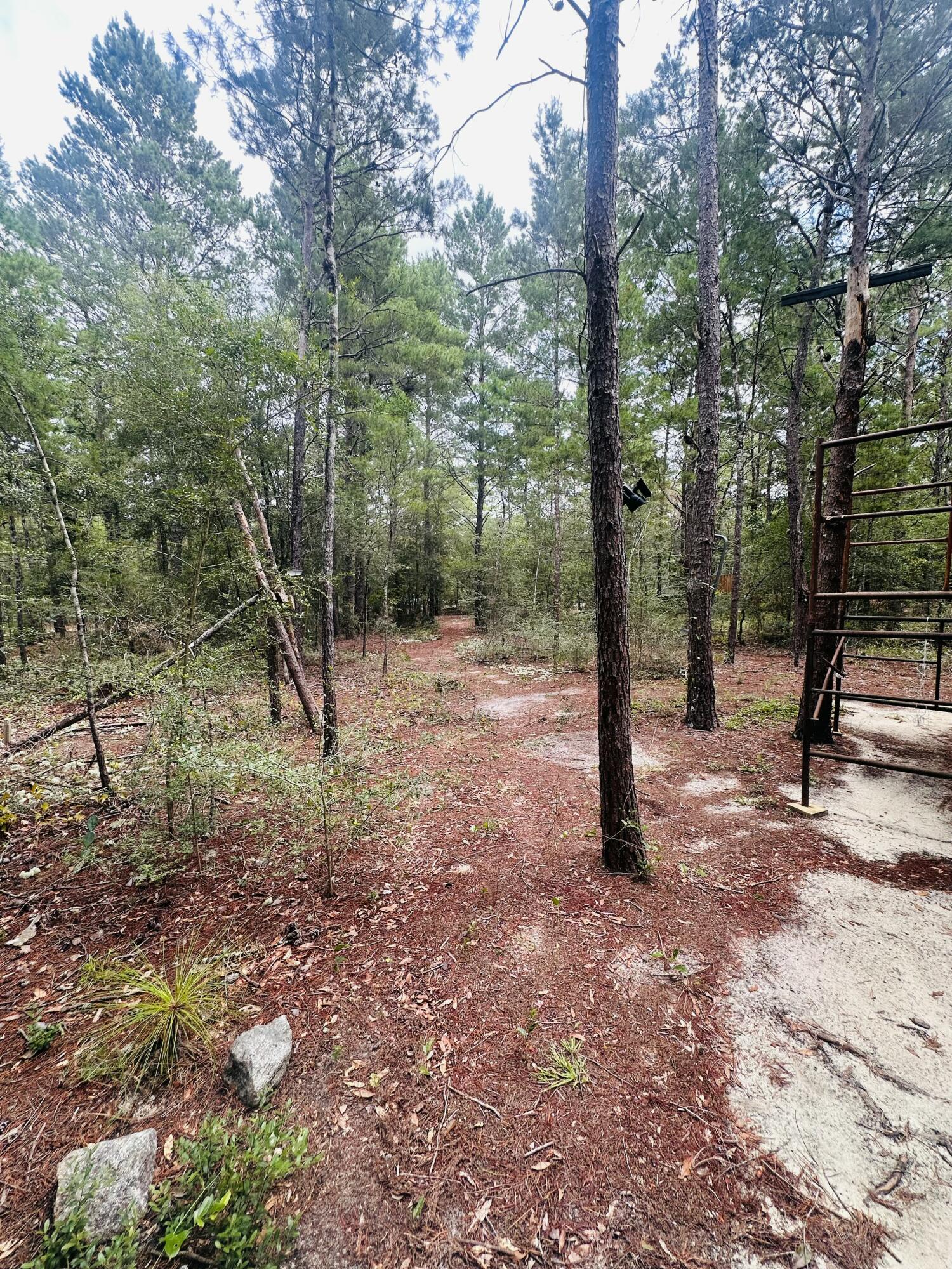 LOTS 23-25 E DOGWOOD Avenue, DeFuniak Springs