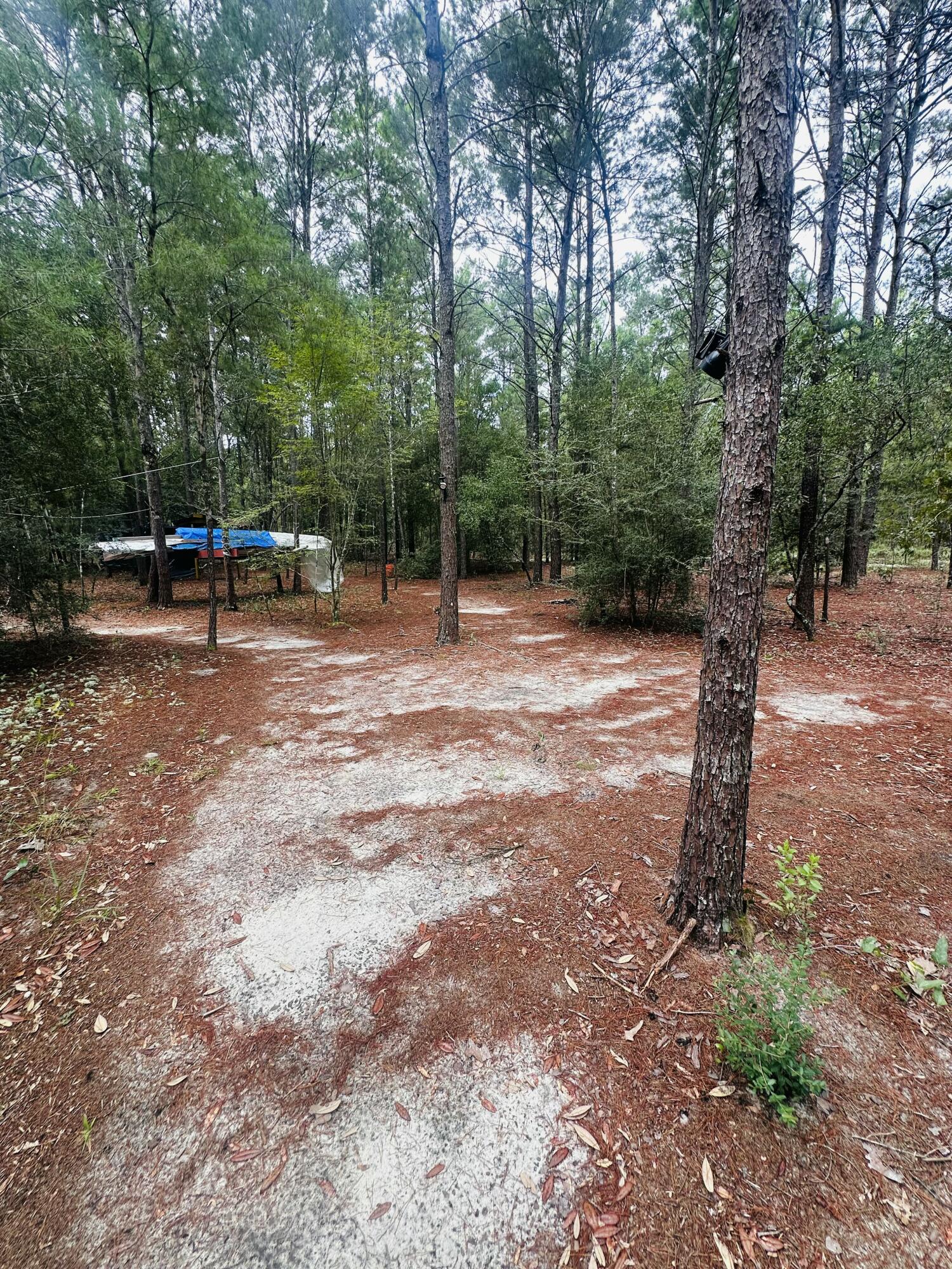 LOTS 23-25 E DOGWOOD Avenue, DeFuniak Springs