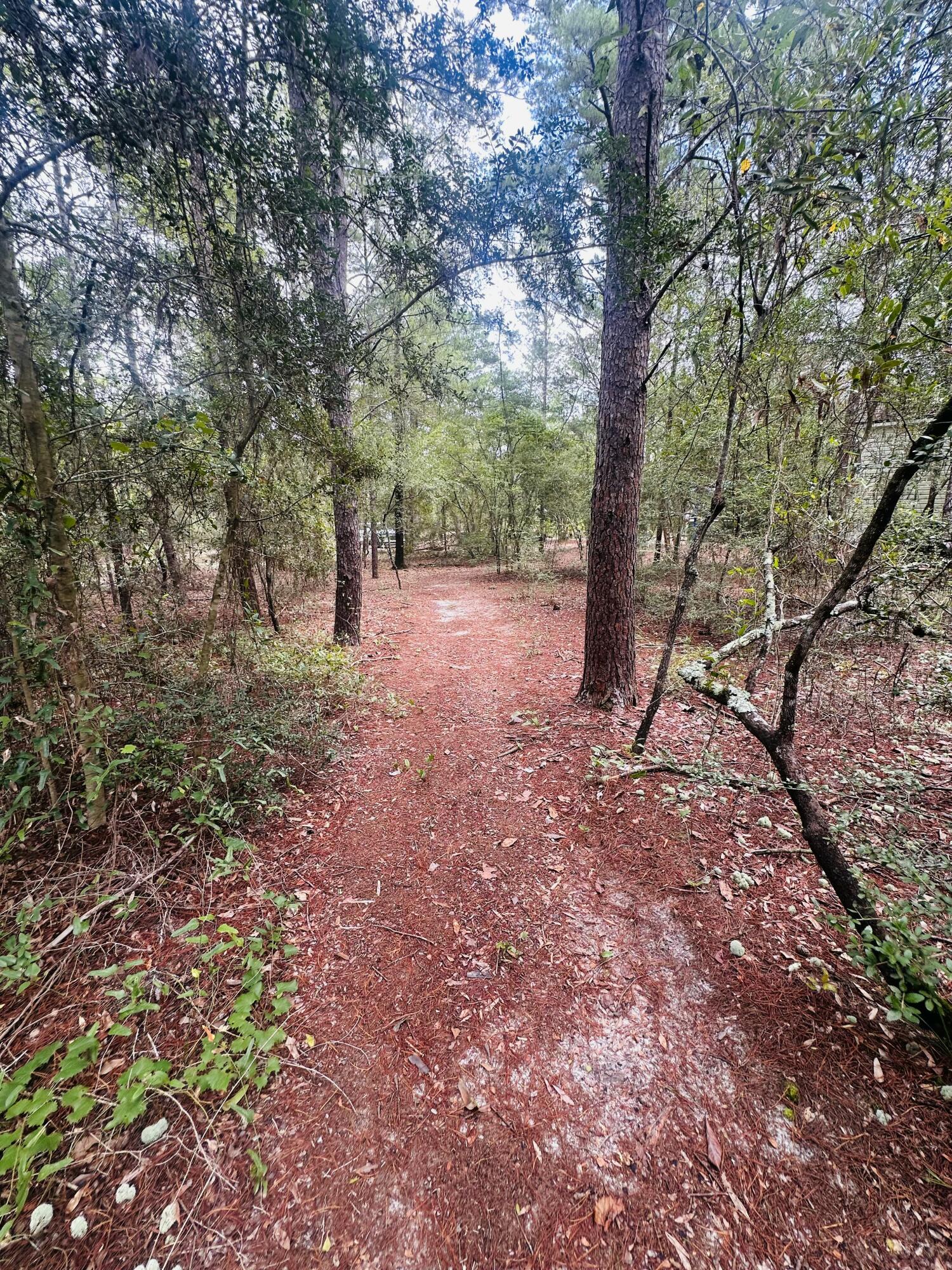 LOTS 23-25 E DOGWOOD Avenue, DeFuniak Springs