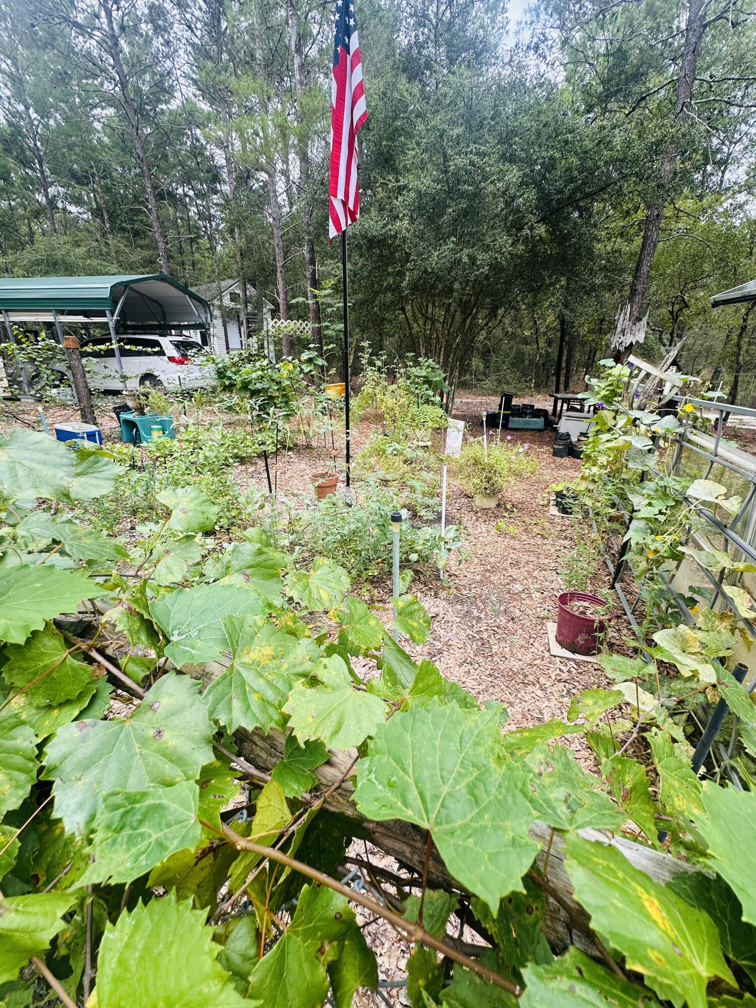 LOTS 23-25 E DOGWOOD Avenue, DeFuniak Springs