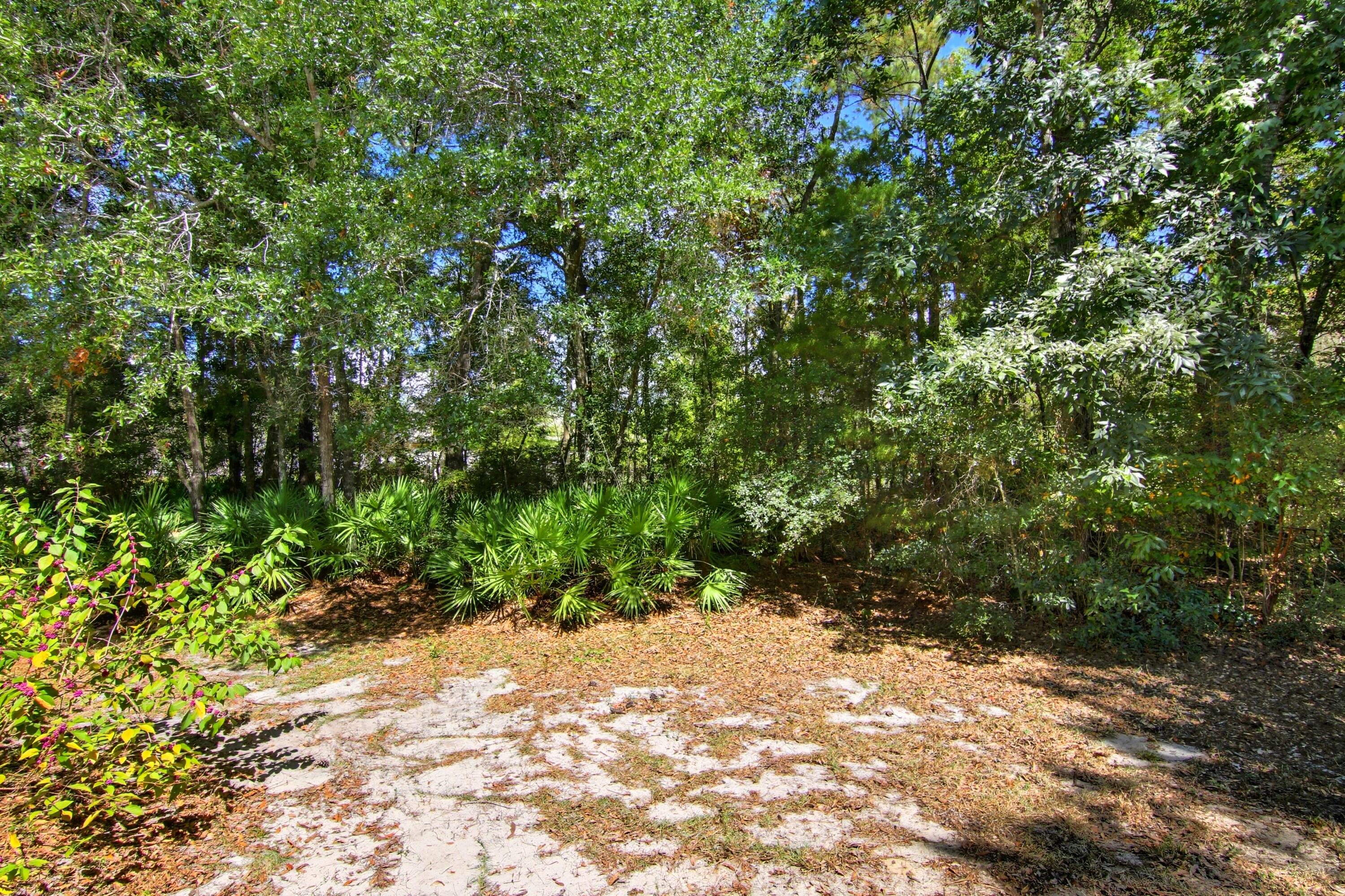 237 Dover Lane
