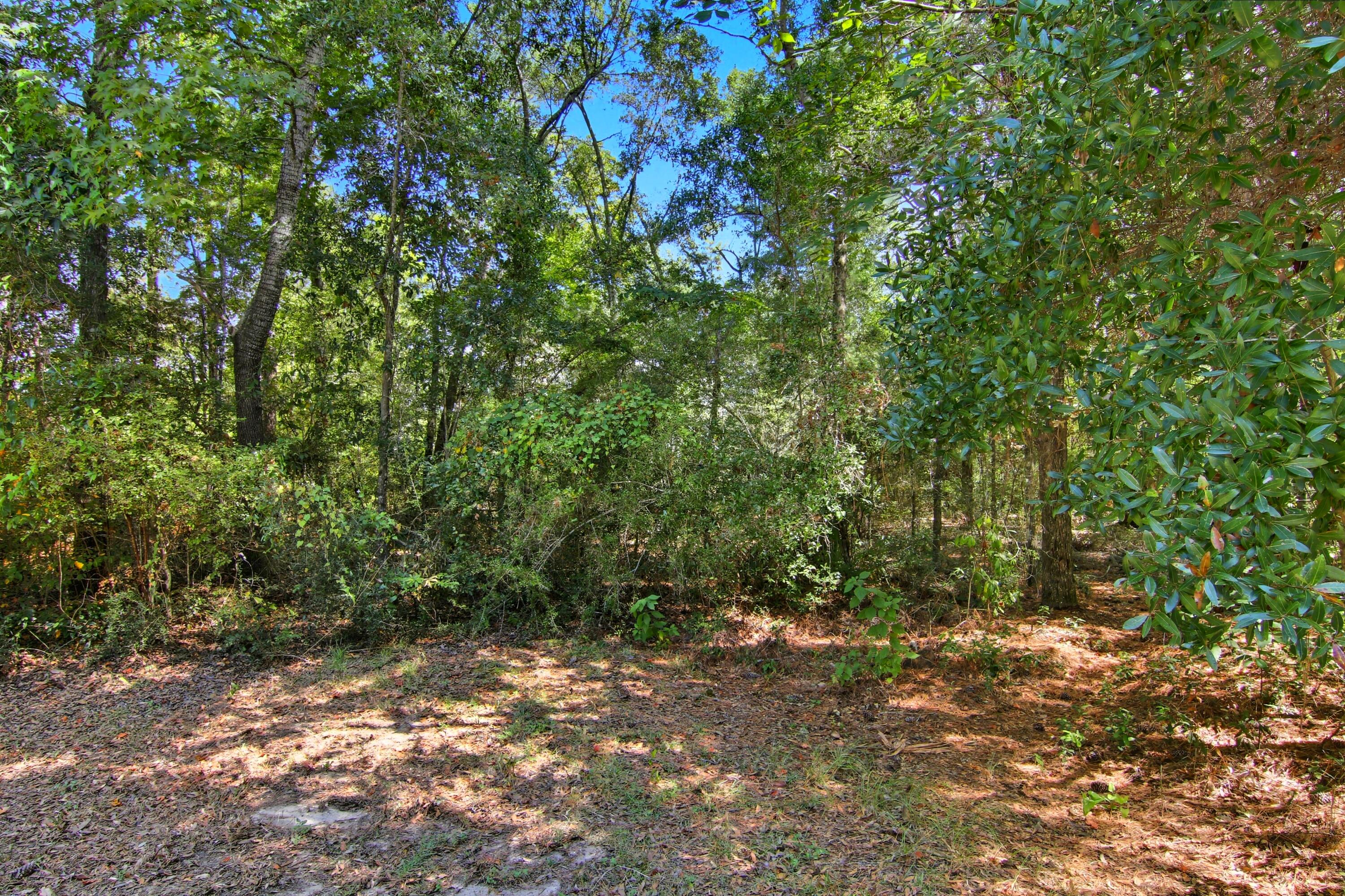 237 Dover Lane