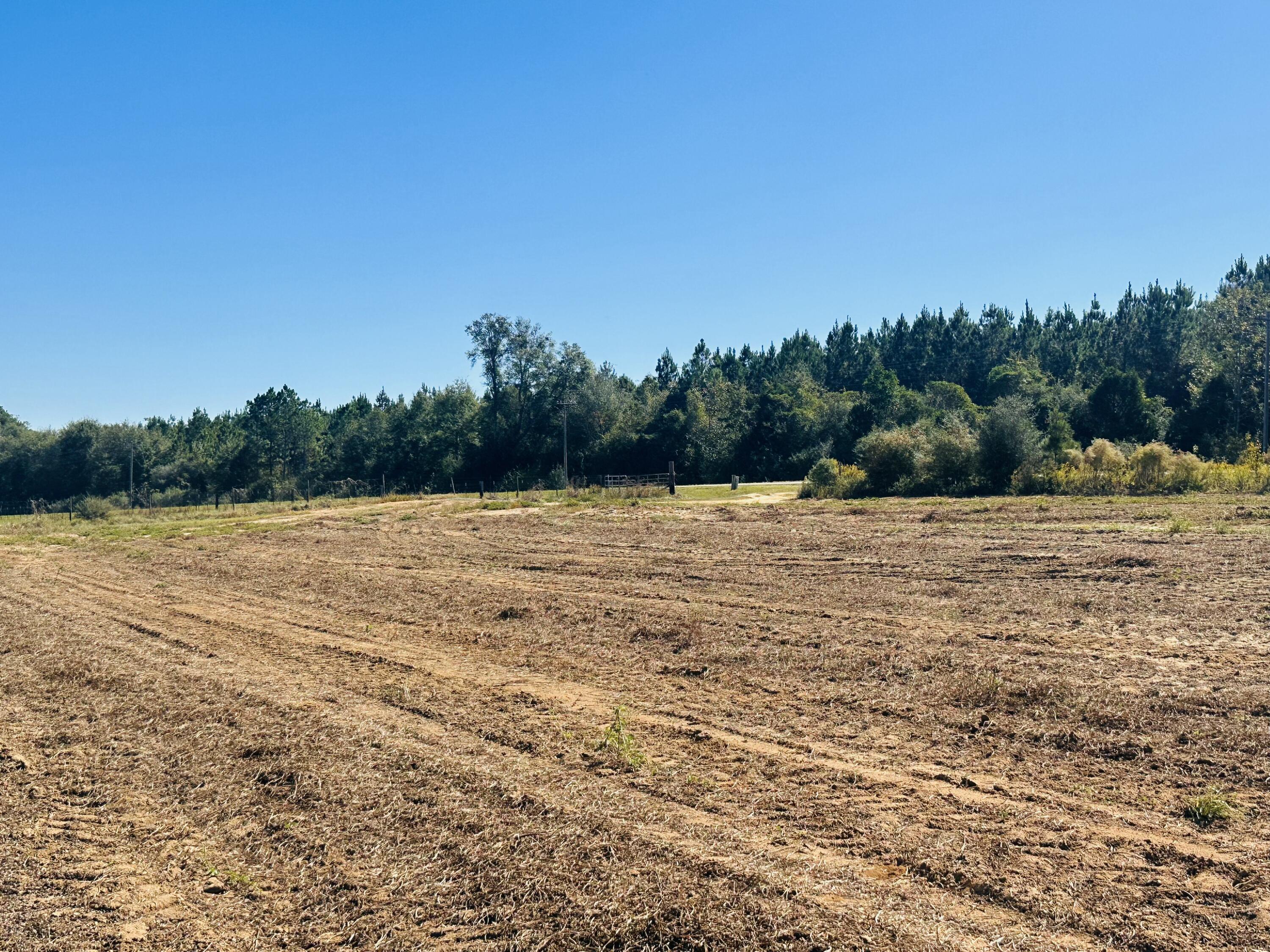 Lot 7 E Highway 2 Highway, Bonifay