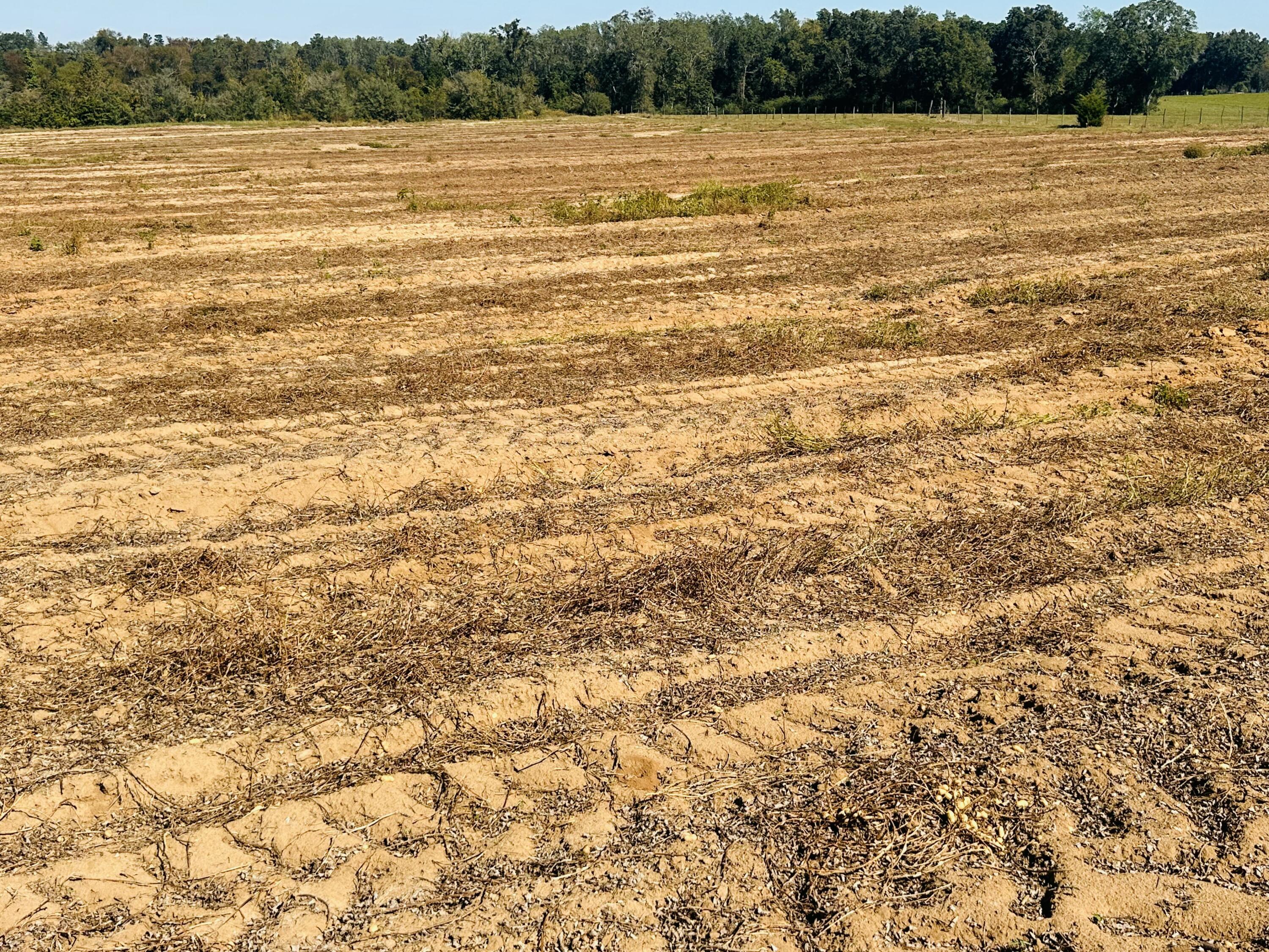 Lot 7 E Highway 2 Highway, Bonifay