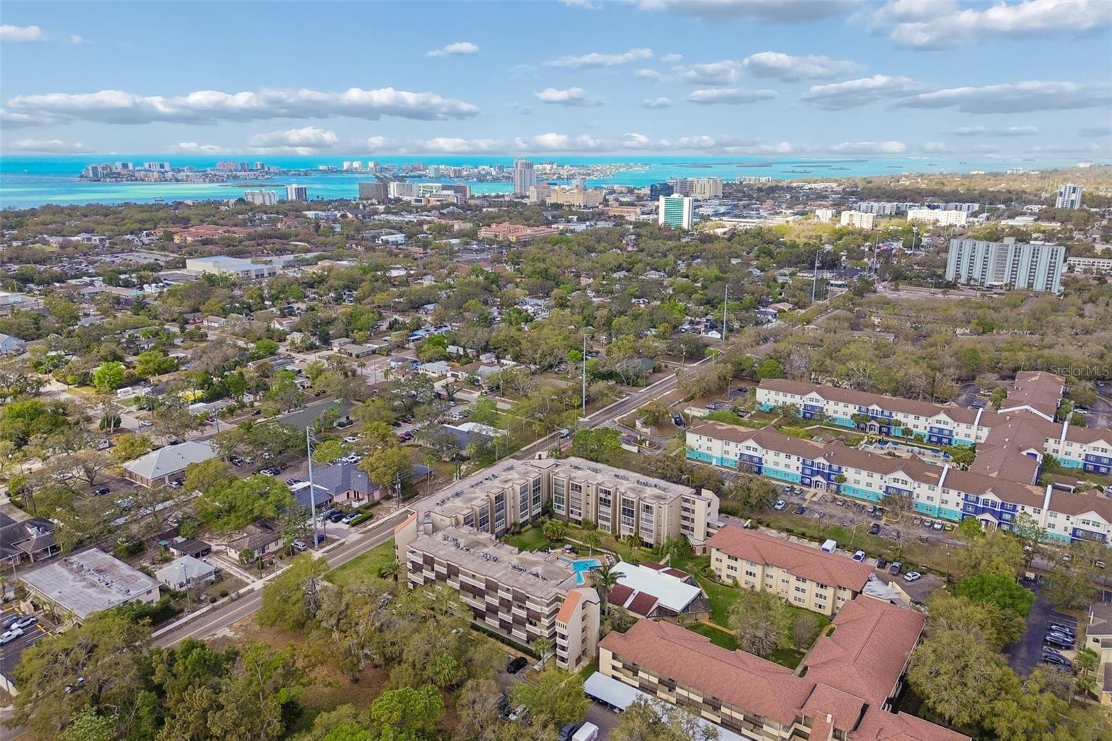 1243 S MARTIN LUTHER KING JR AVE #B501