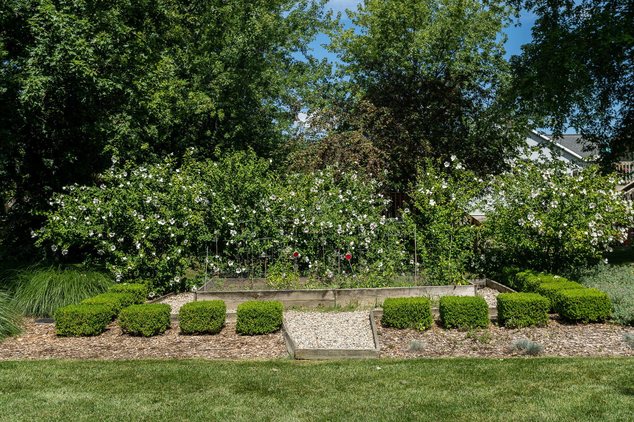 1619 Claystone Court