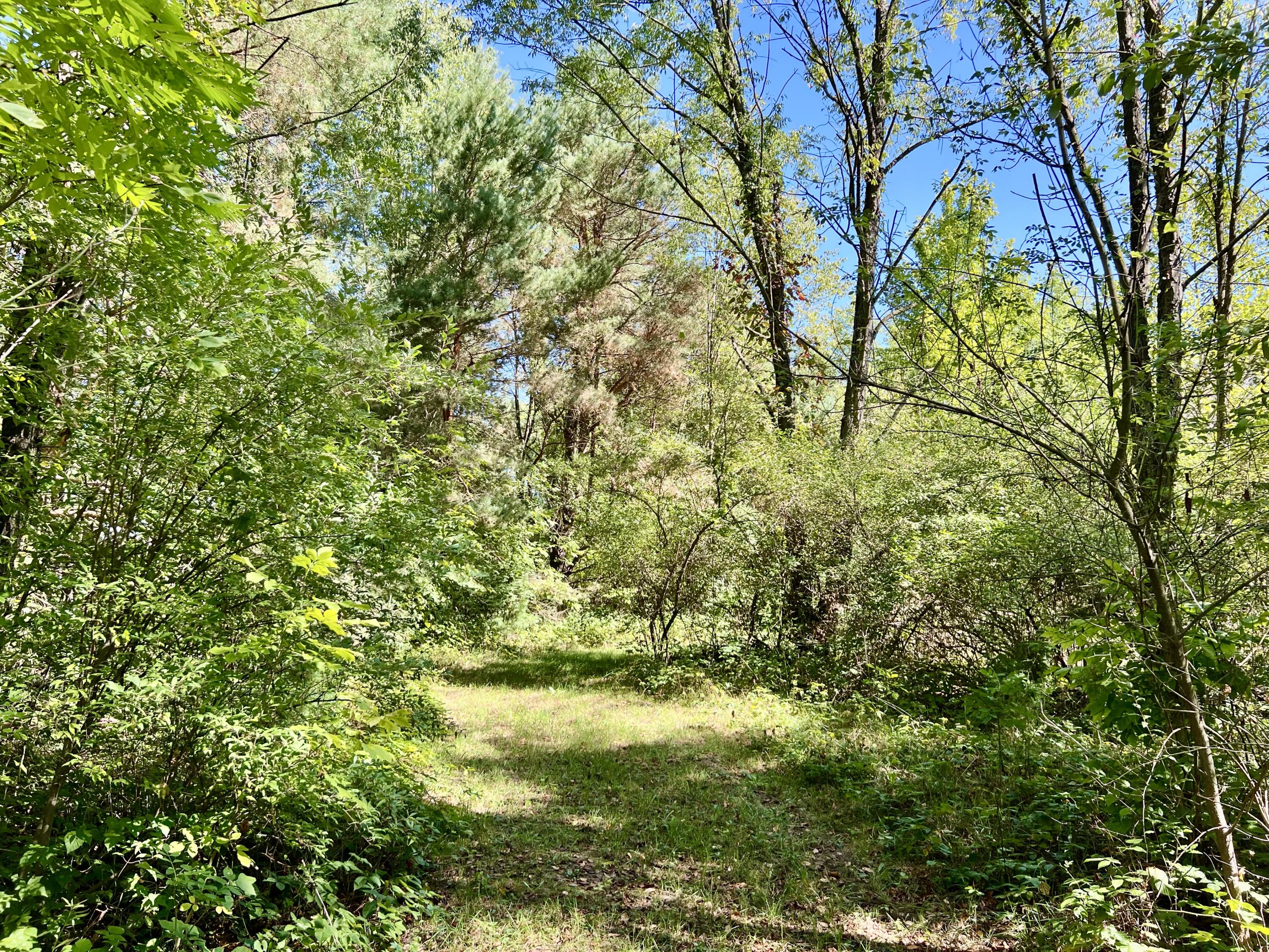1352 Leapfrog Lane