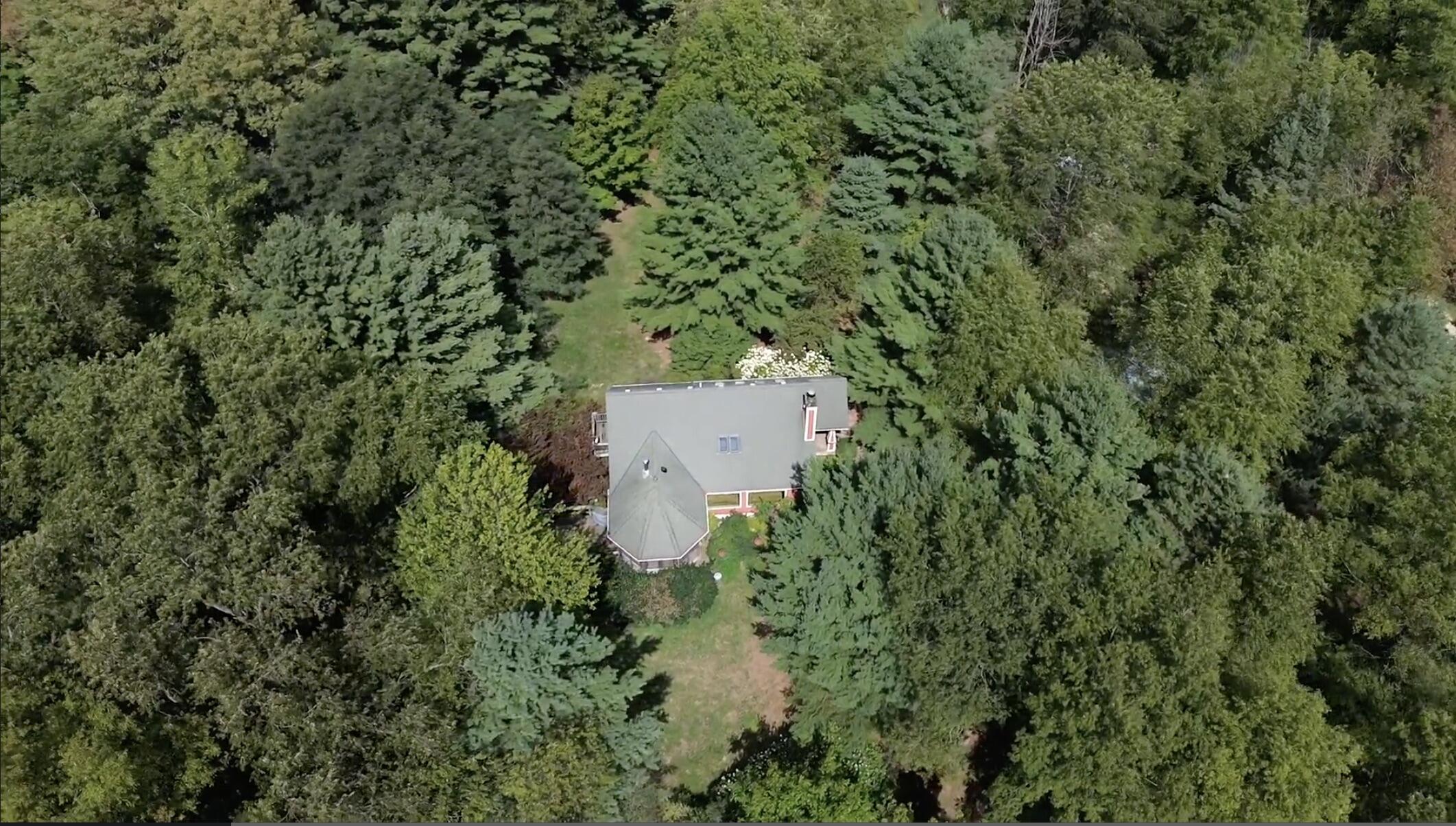 1352 Leapfrog Lane