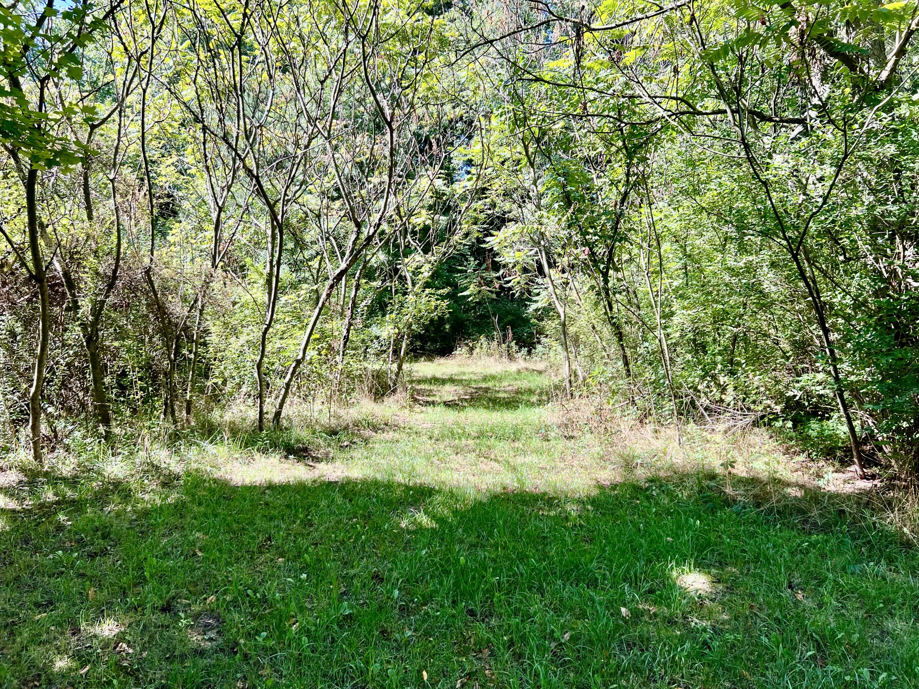 1352 Leapfrog Lane