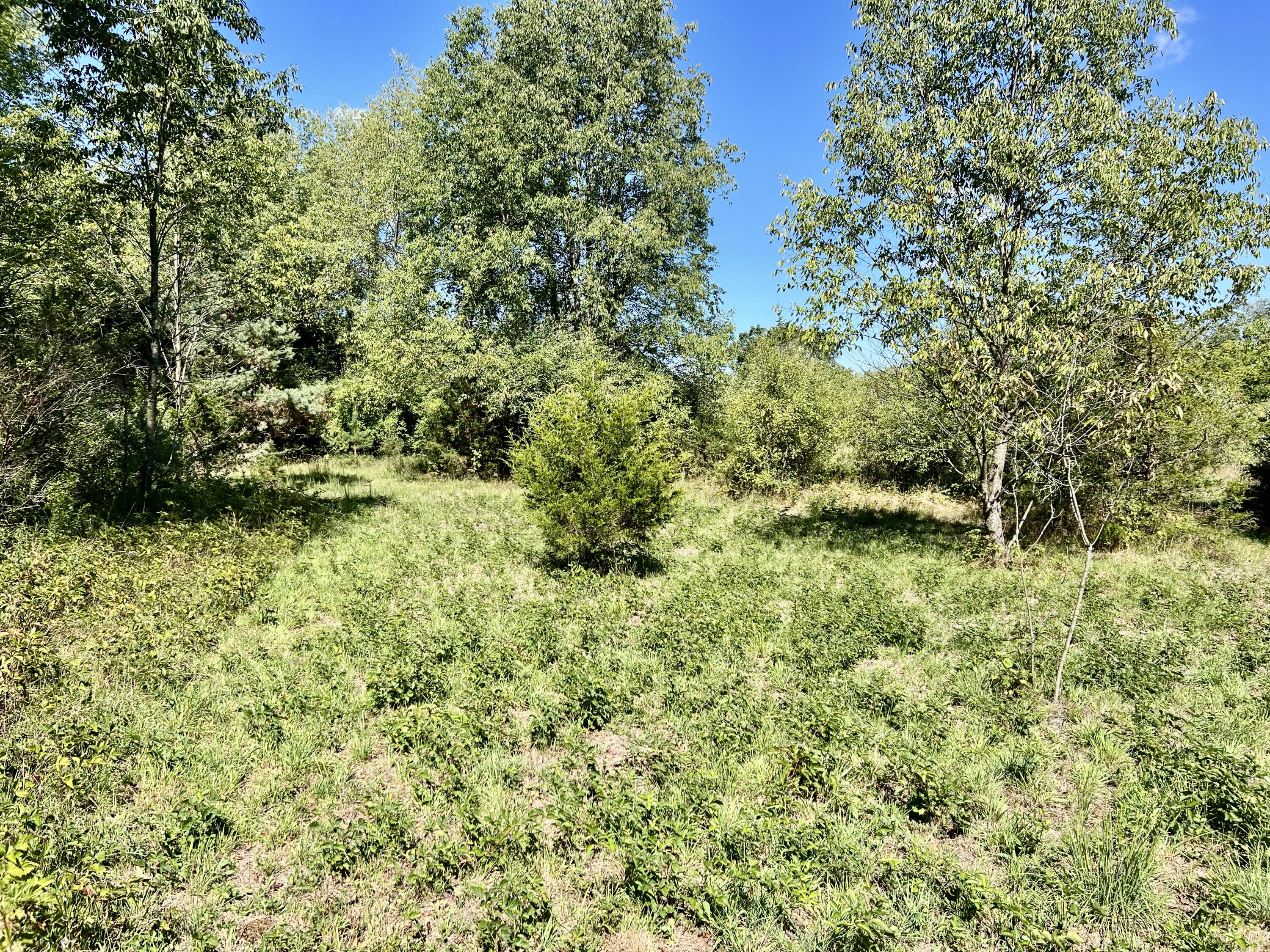 1352 Leapfrog Lane
