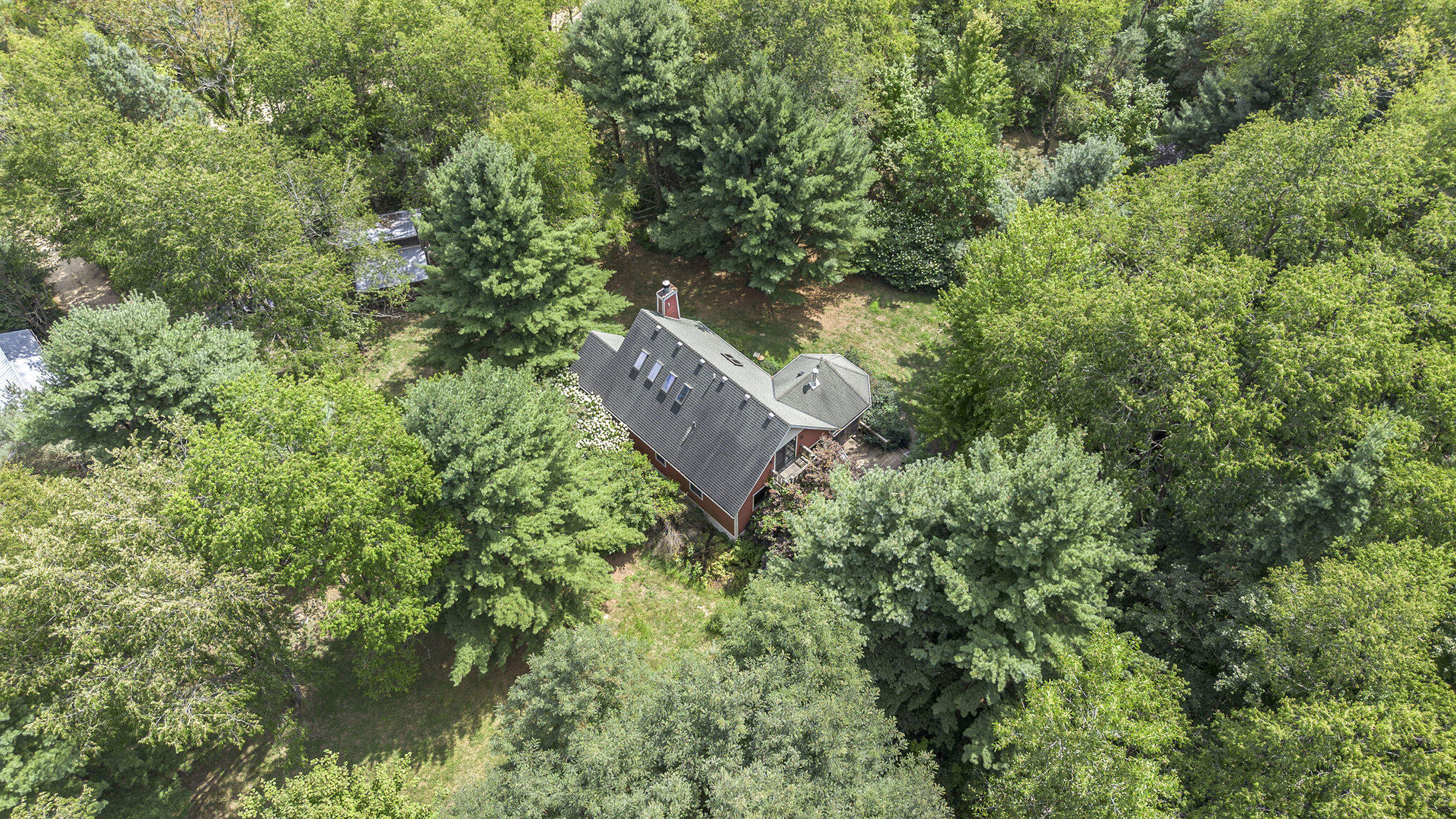 1352 Leapfrog Lane