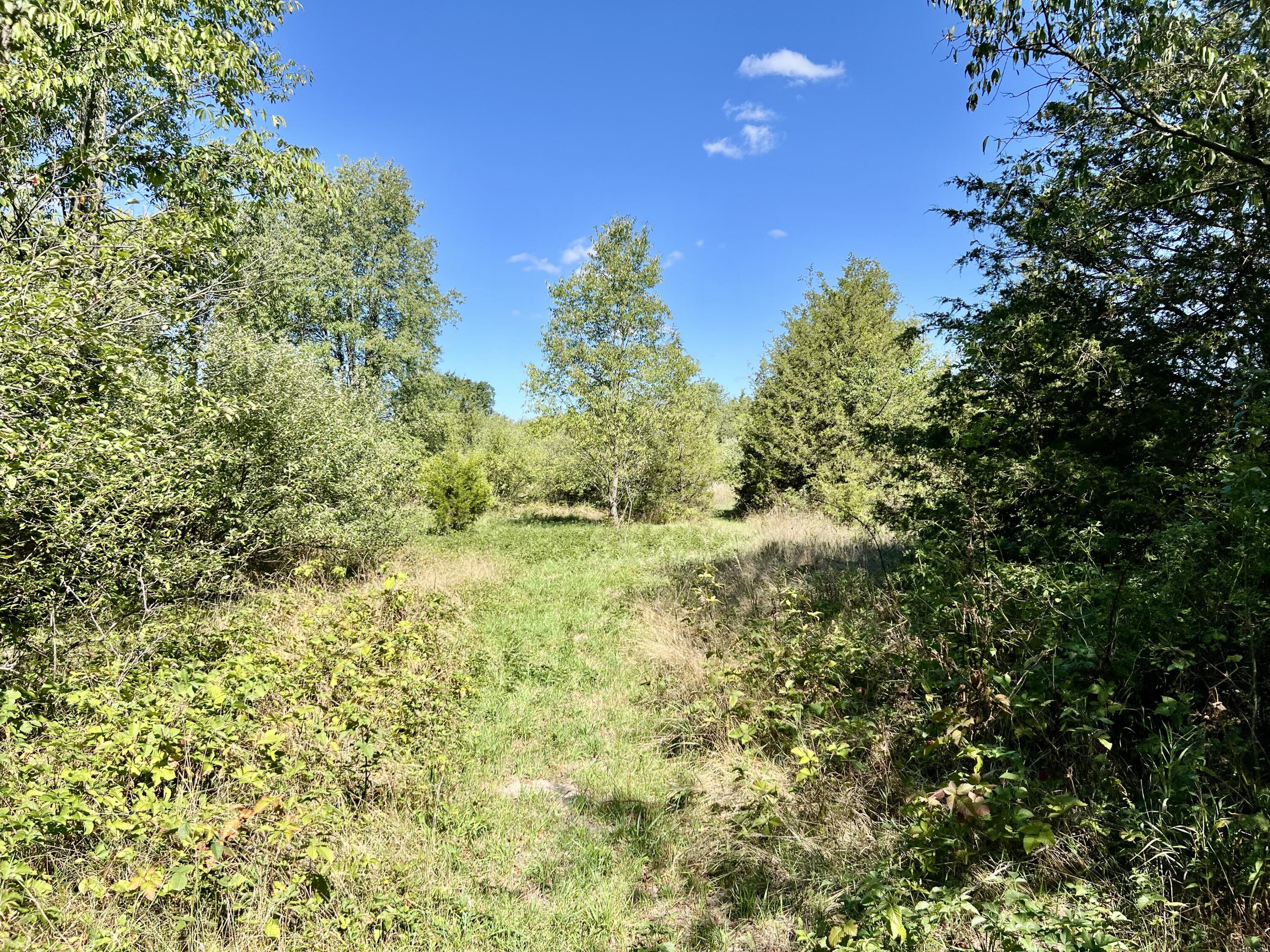 1352 Leapfrog Lane