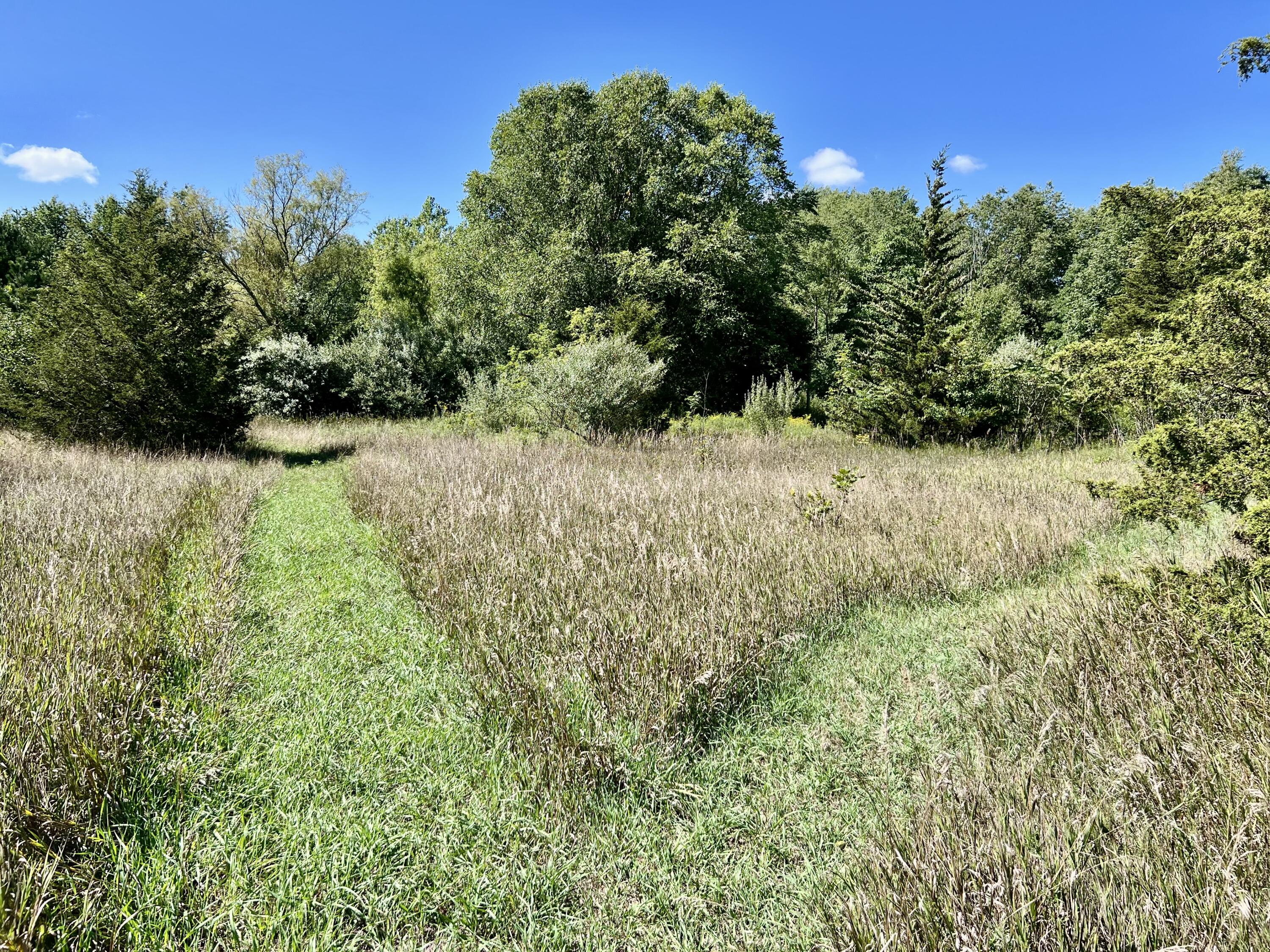 1352 Leapfrog Lane