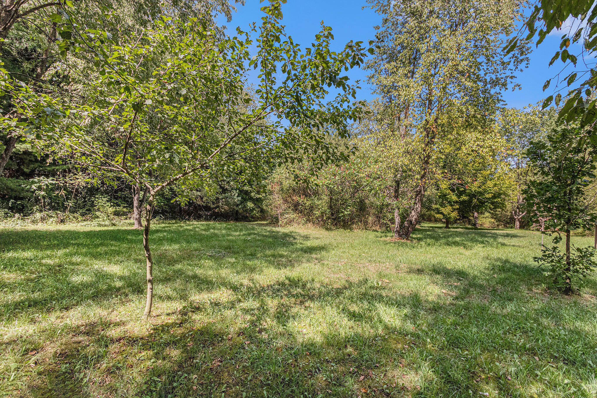 1352 Leapfrog Lane