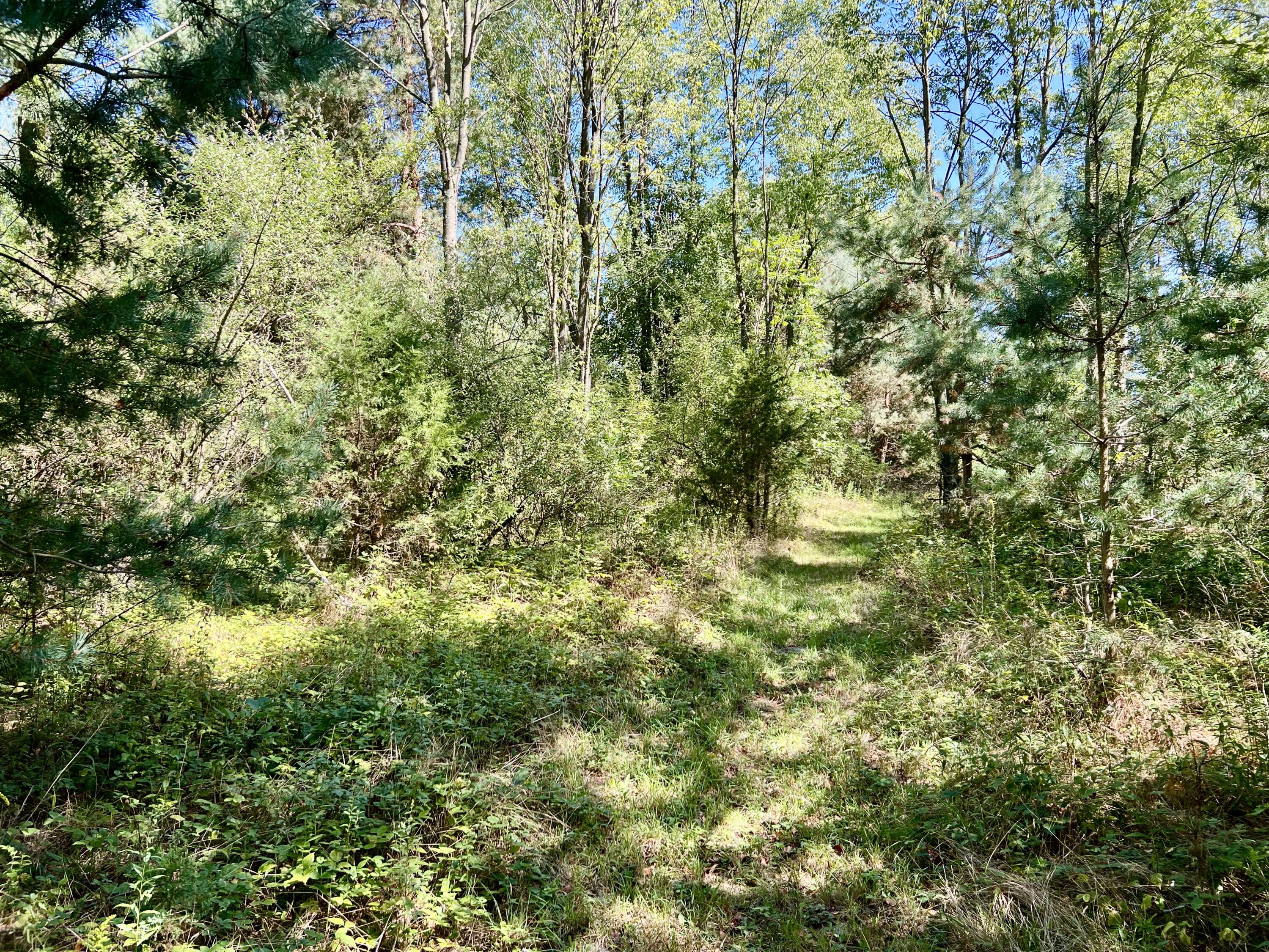1352 Leapfrog Lane