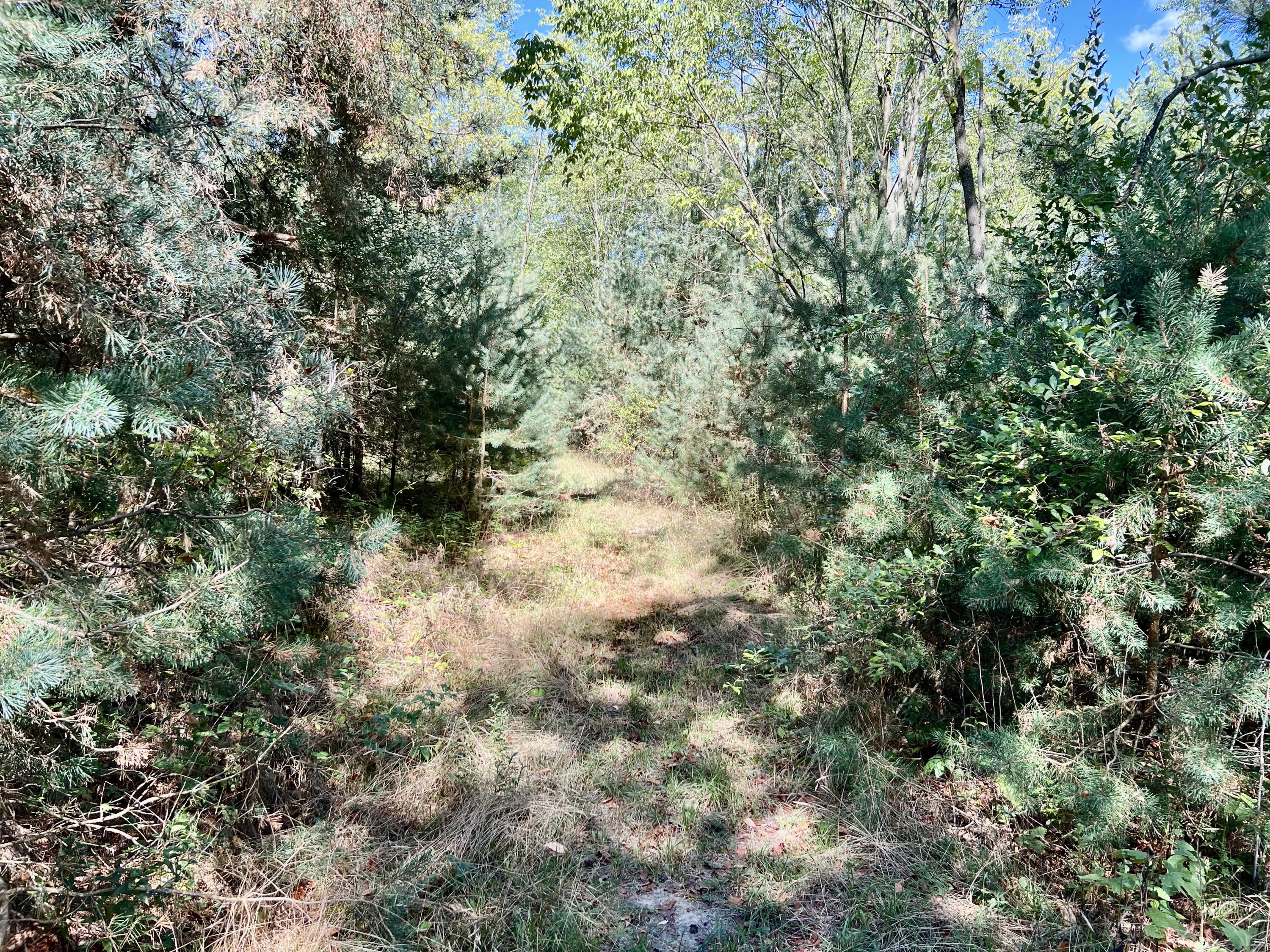 1352 Leapfrog Lane
