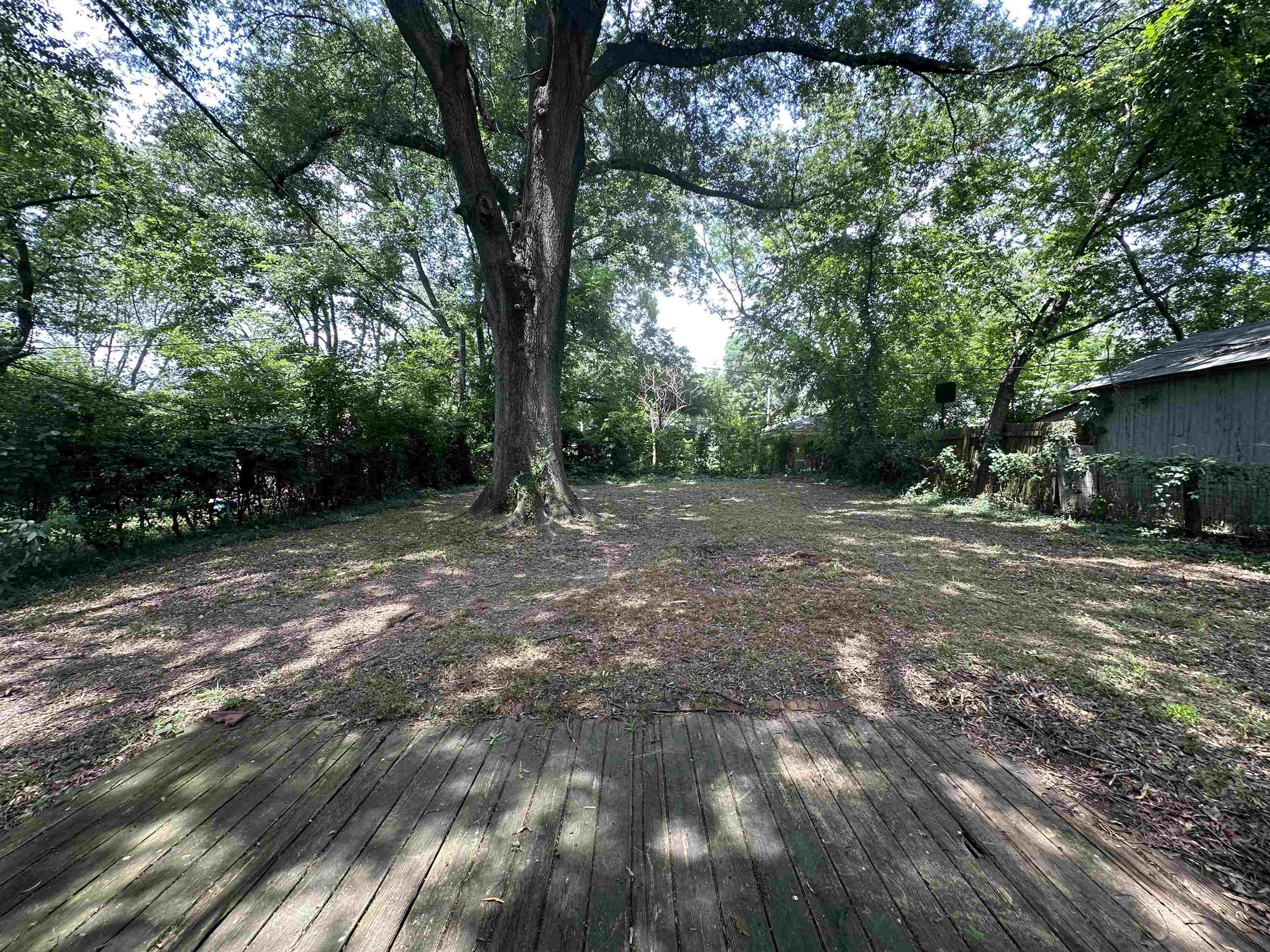 3590 DOUGLASS AVE