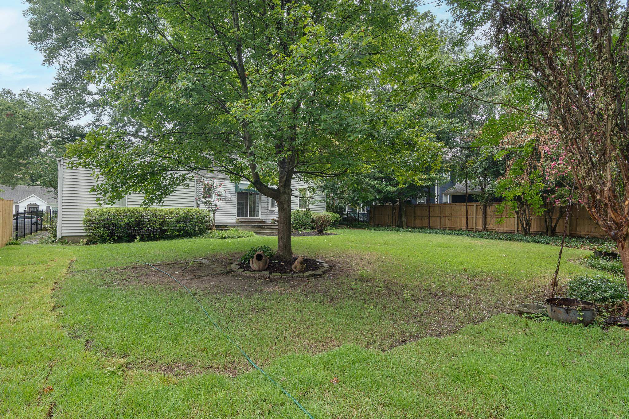 217 ALEXANDER ST
