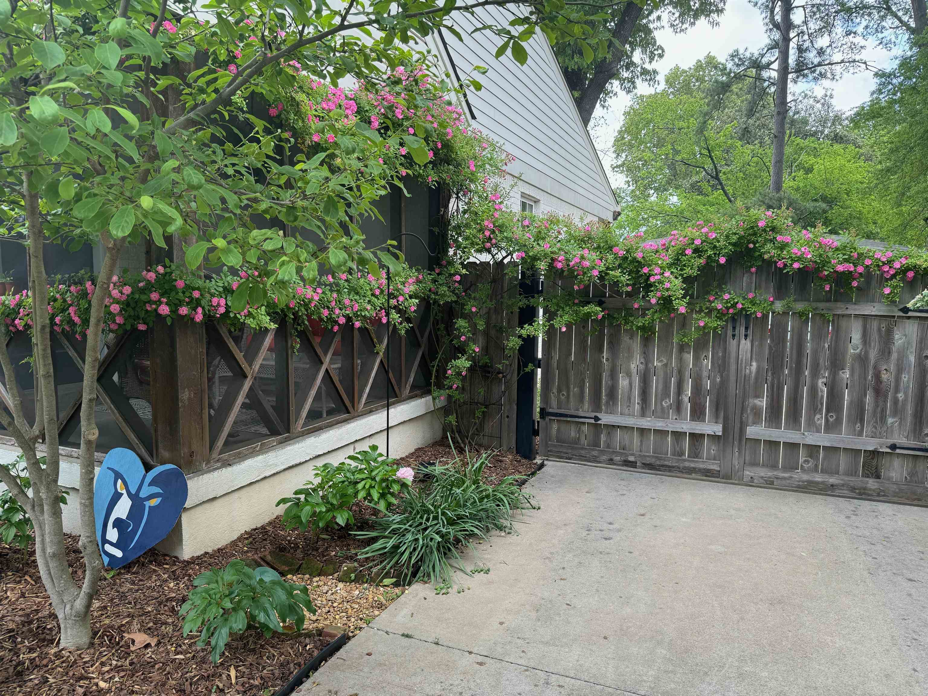 3640 MIMOSA AVE