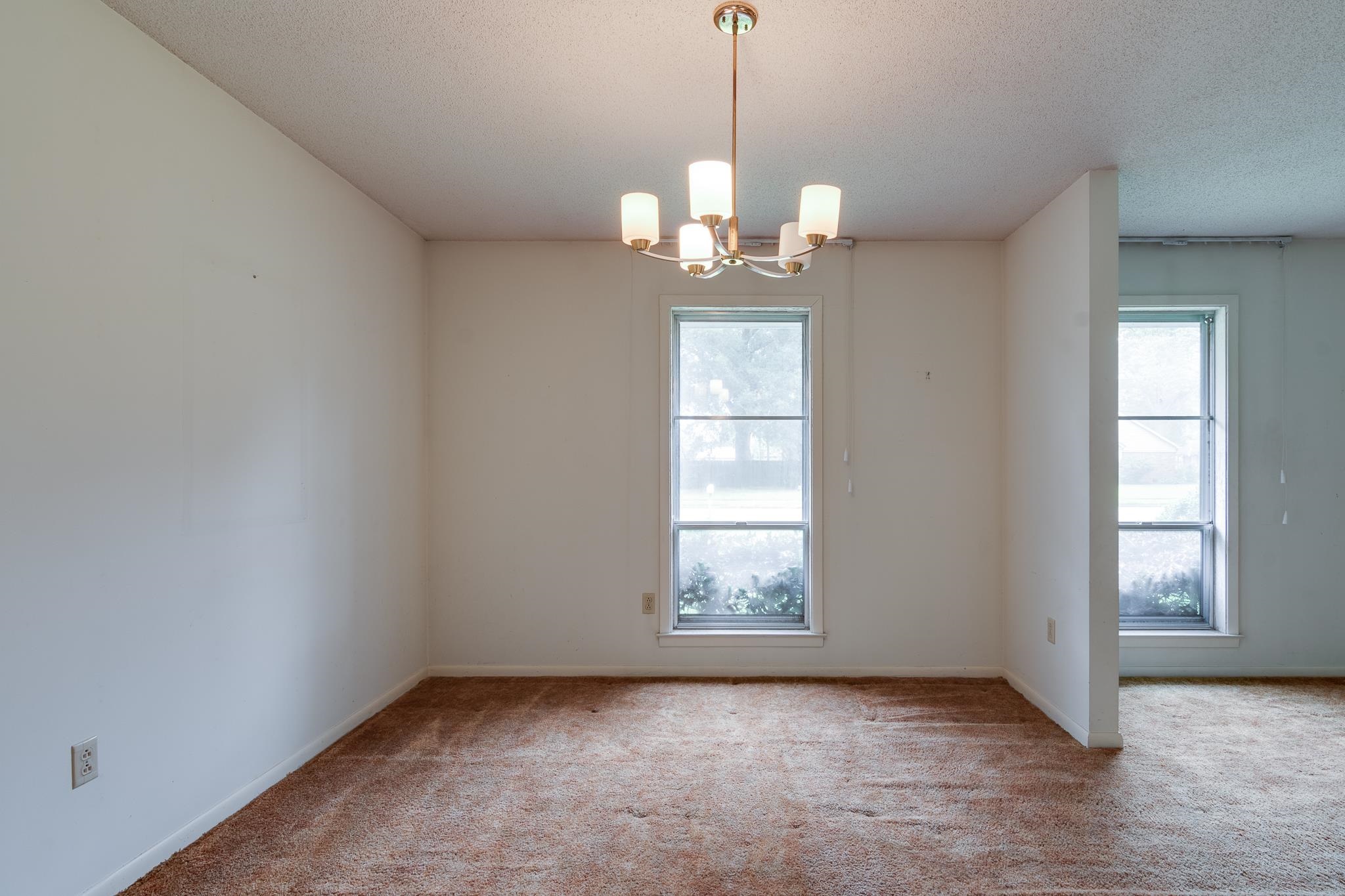 223 RICHBRIAR ST