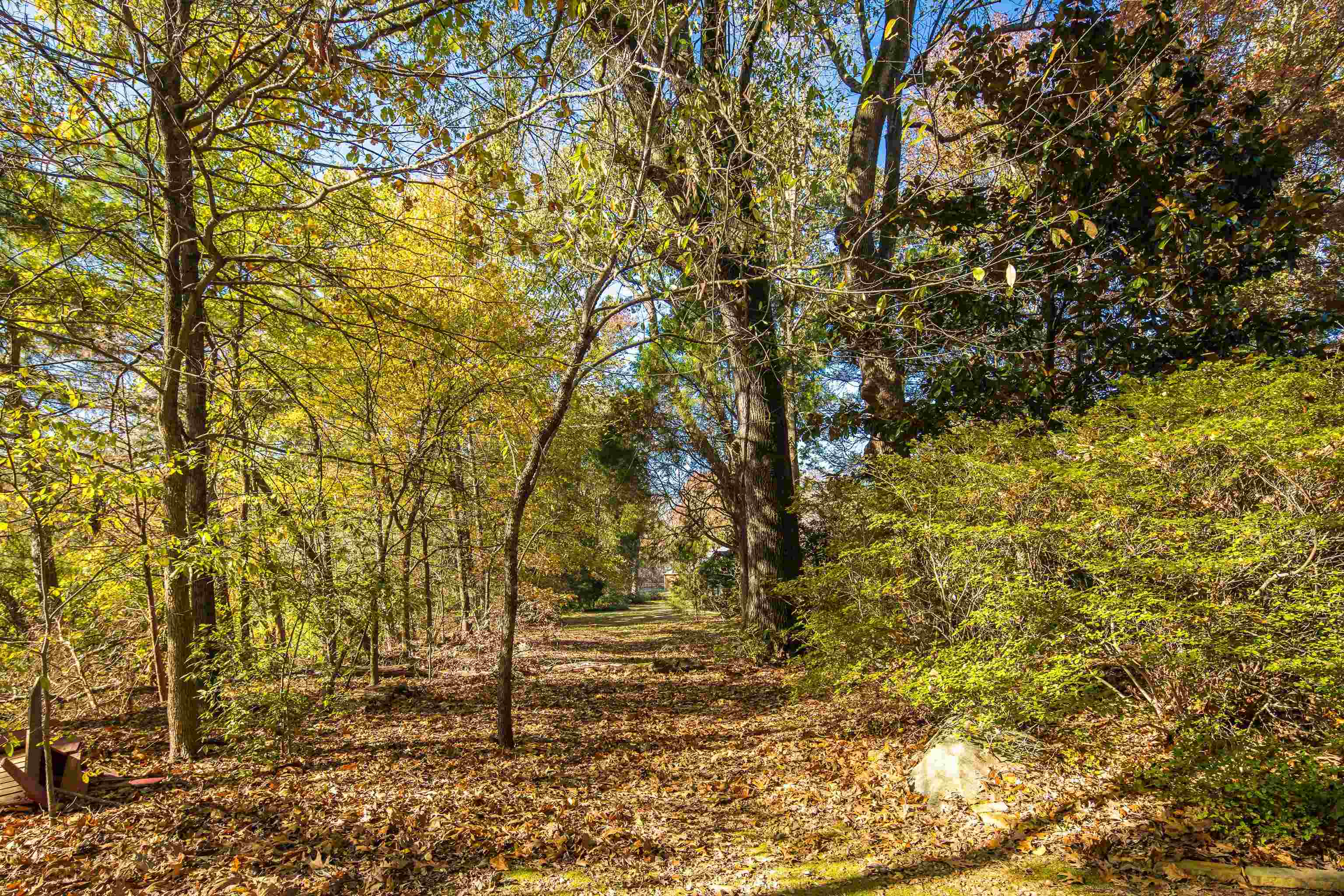 1765 CHAPEL CREEK CV