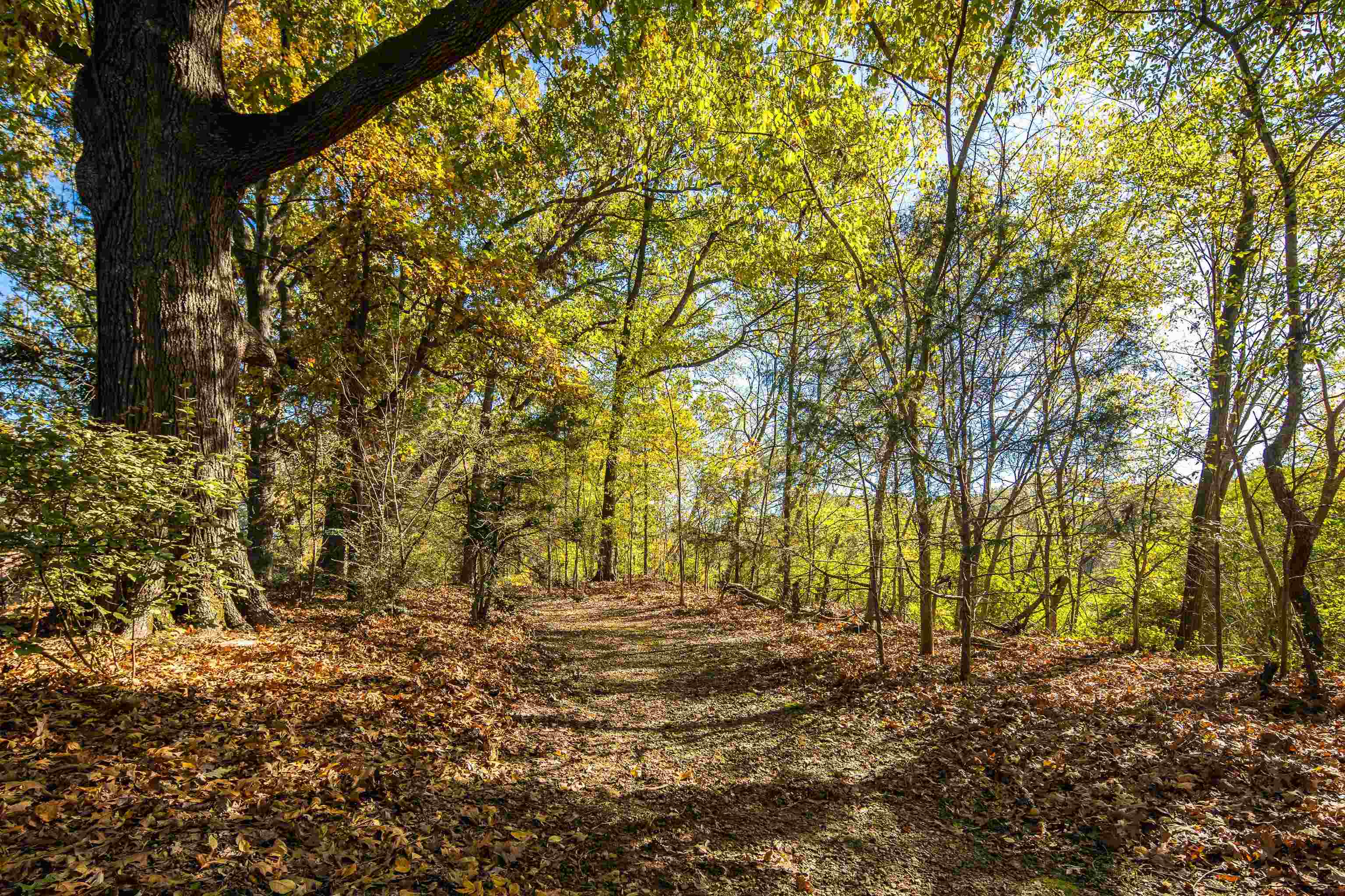 1765 CHAPEL CREEK CV