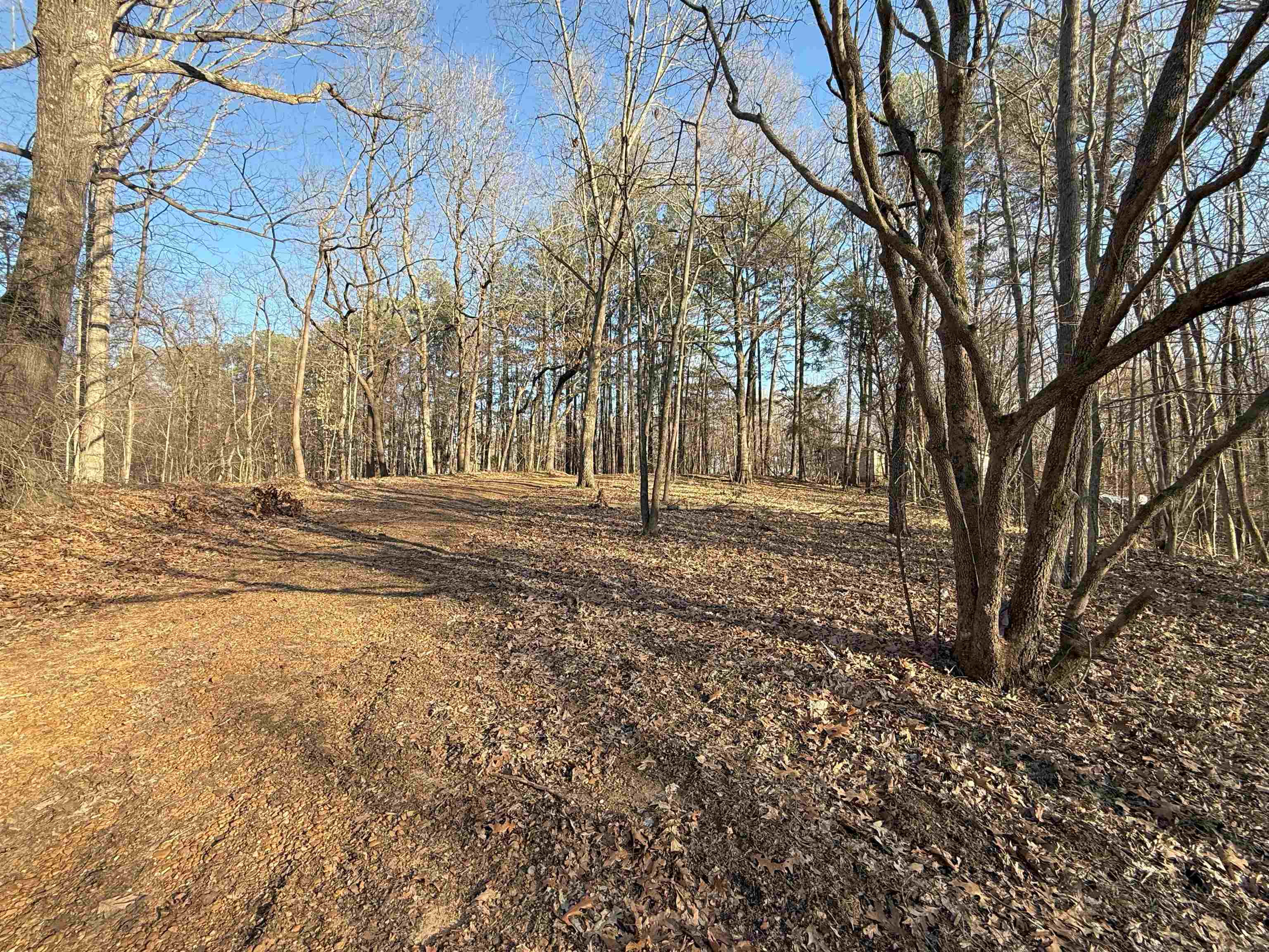 633 DOGWOOD LN