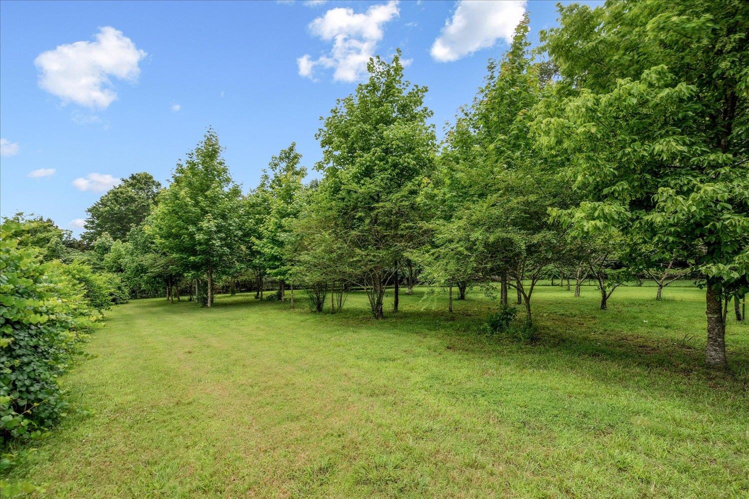 2165 LATTING HILLS CV