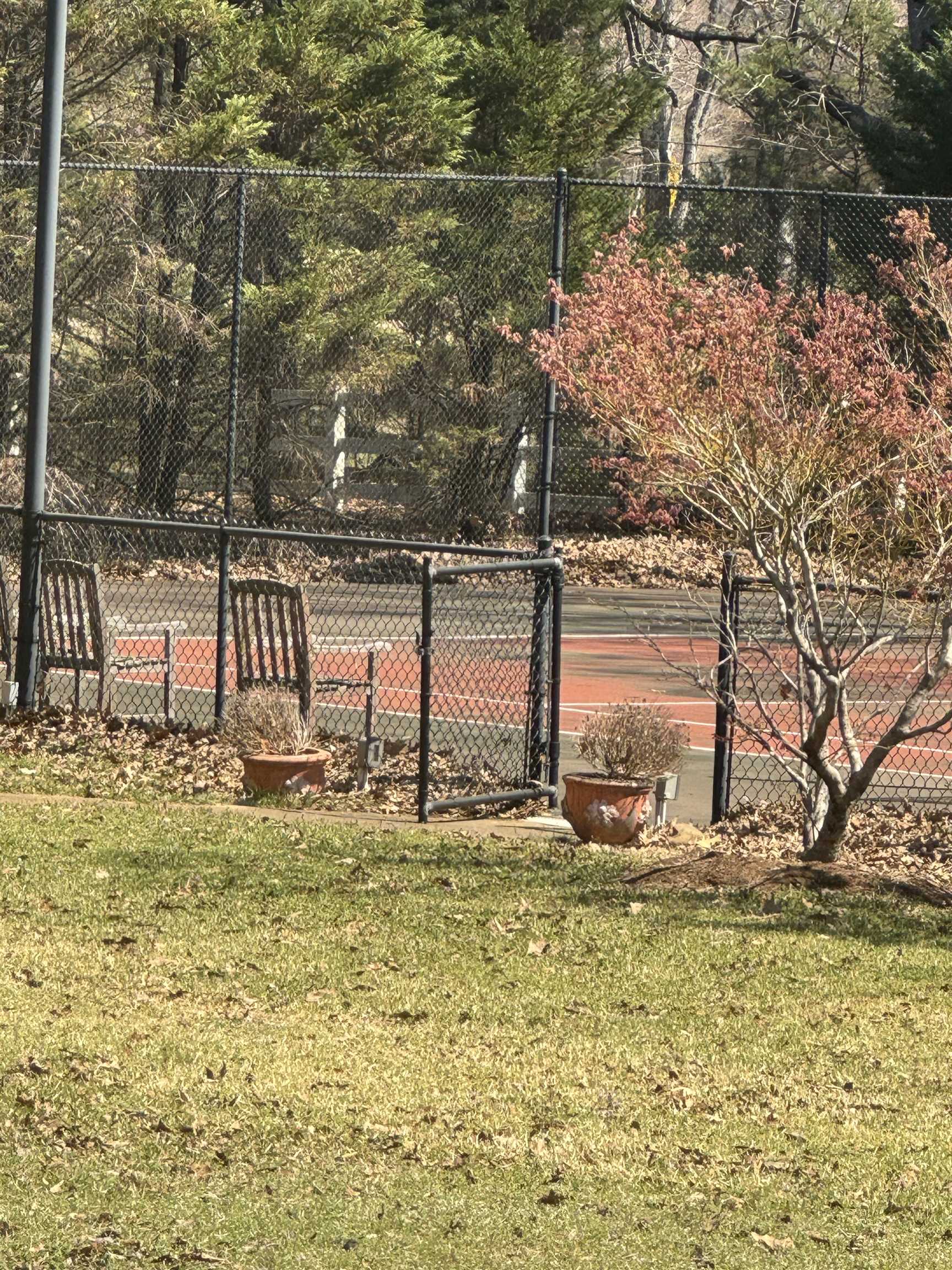 11455 GLEN BIRNHAM DR