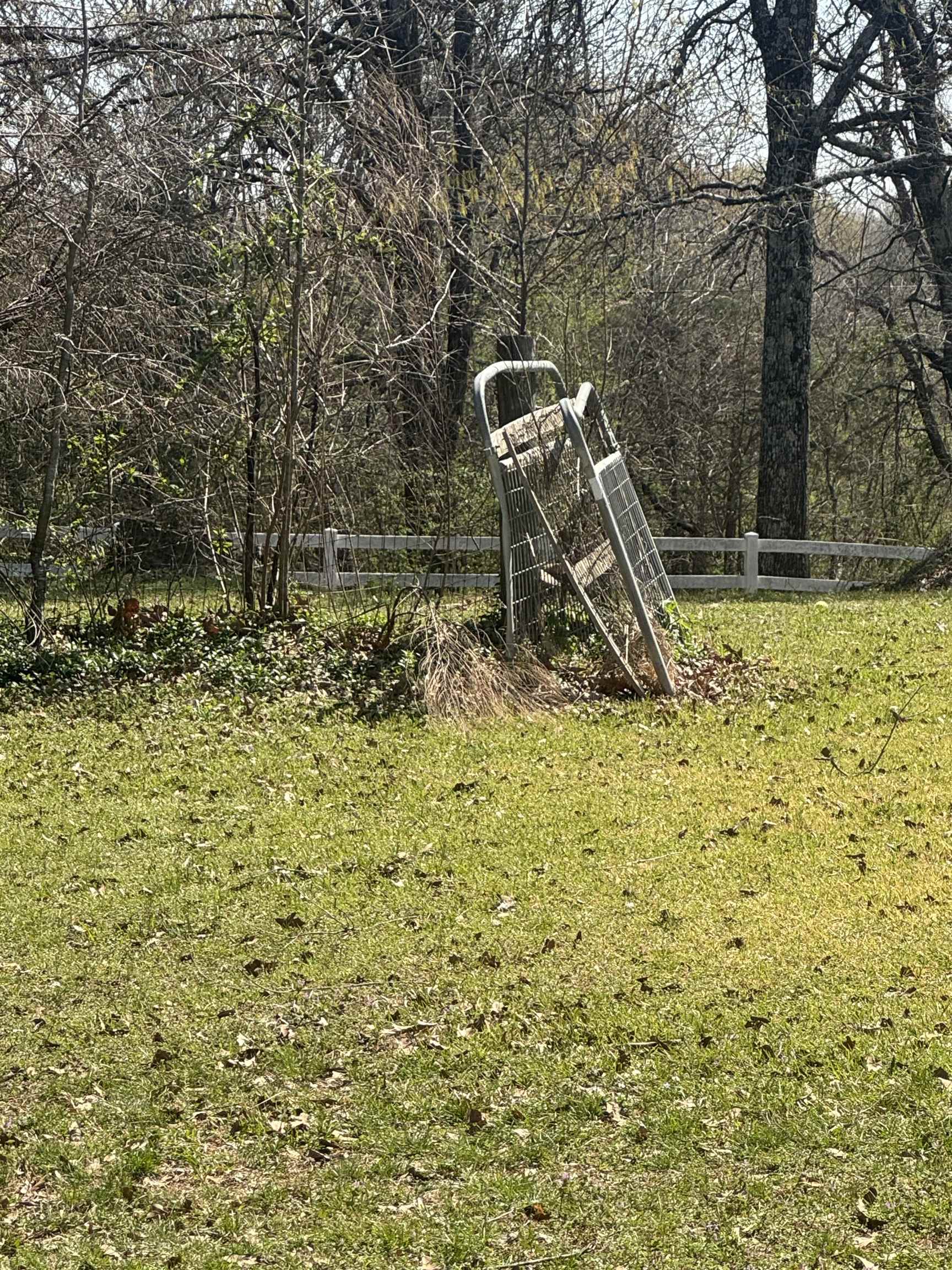 11455 GLEN BIRNHAM DR