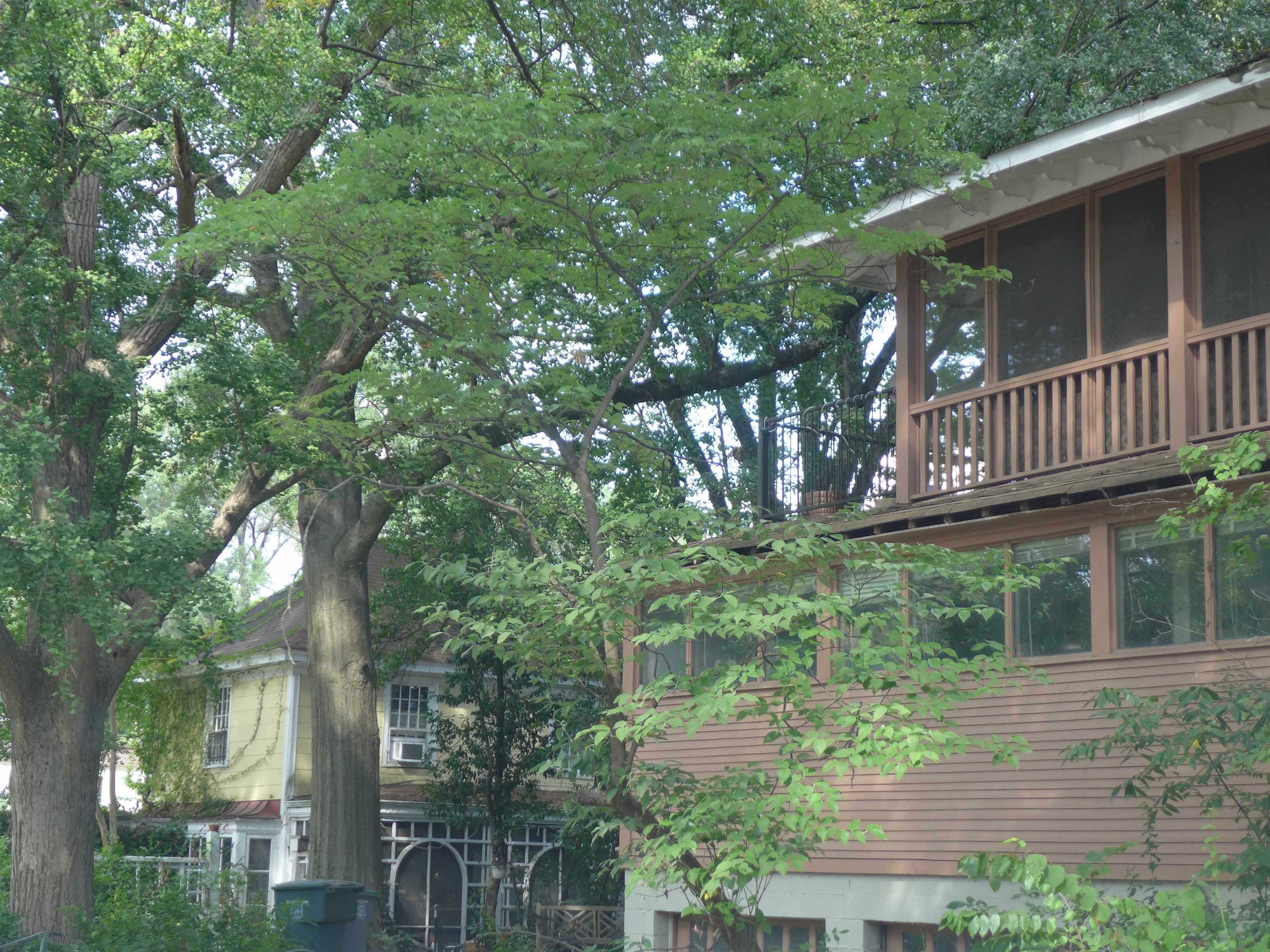 1792 FOREST AVE Unit: 1, 2 & 3