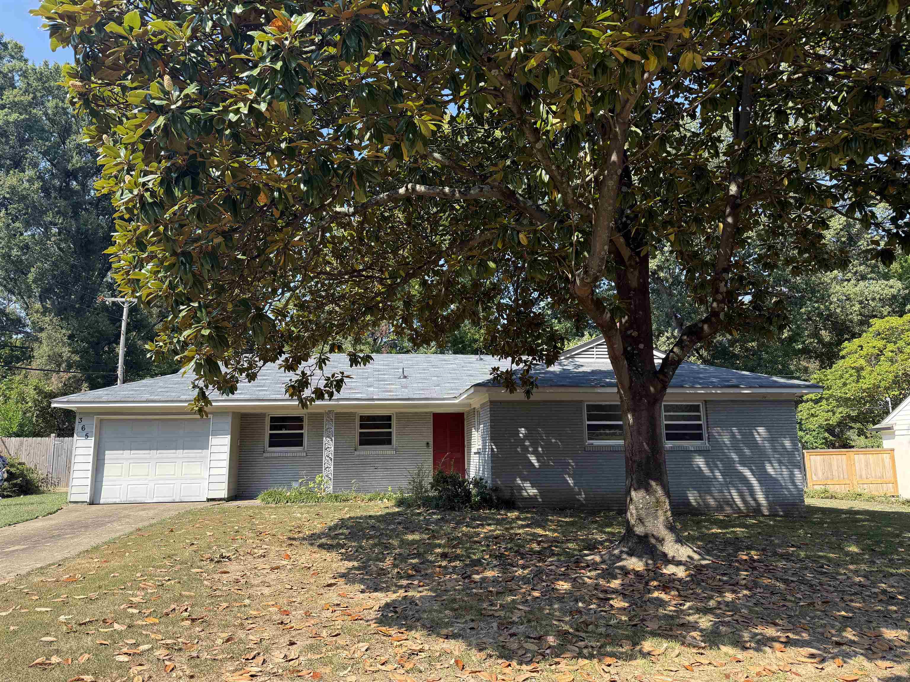 365 LEONORA DR