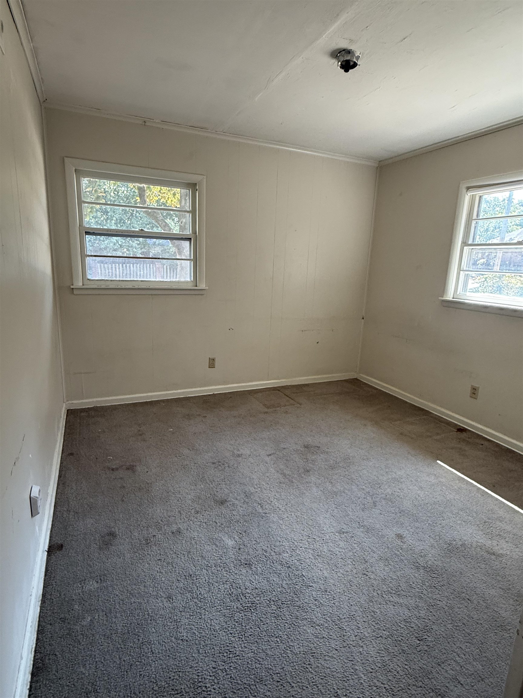 365 LEONORA DR