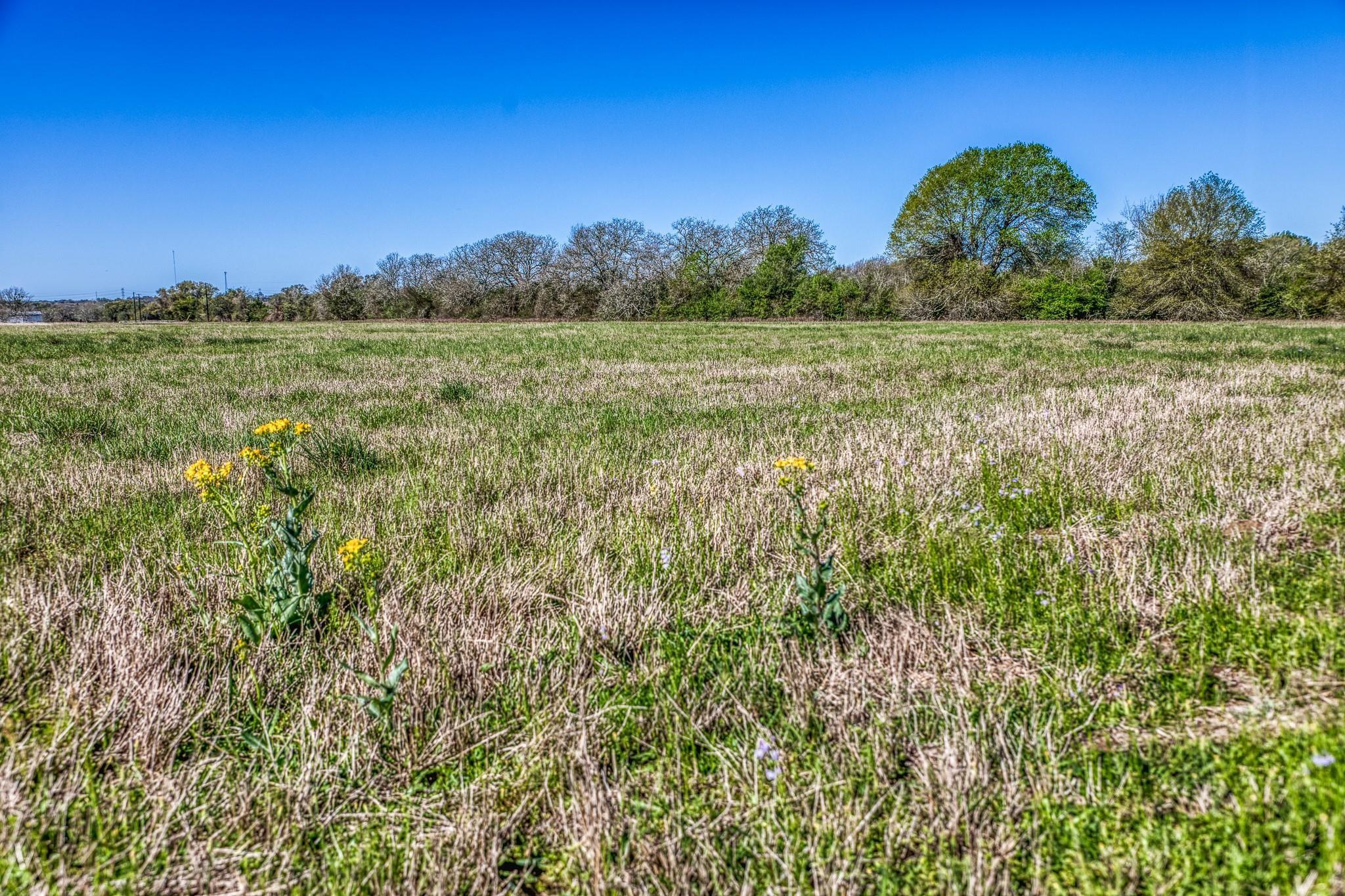 TBD Schuster Rd