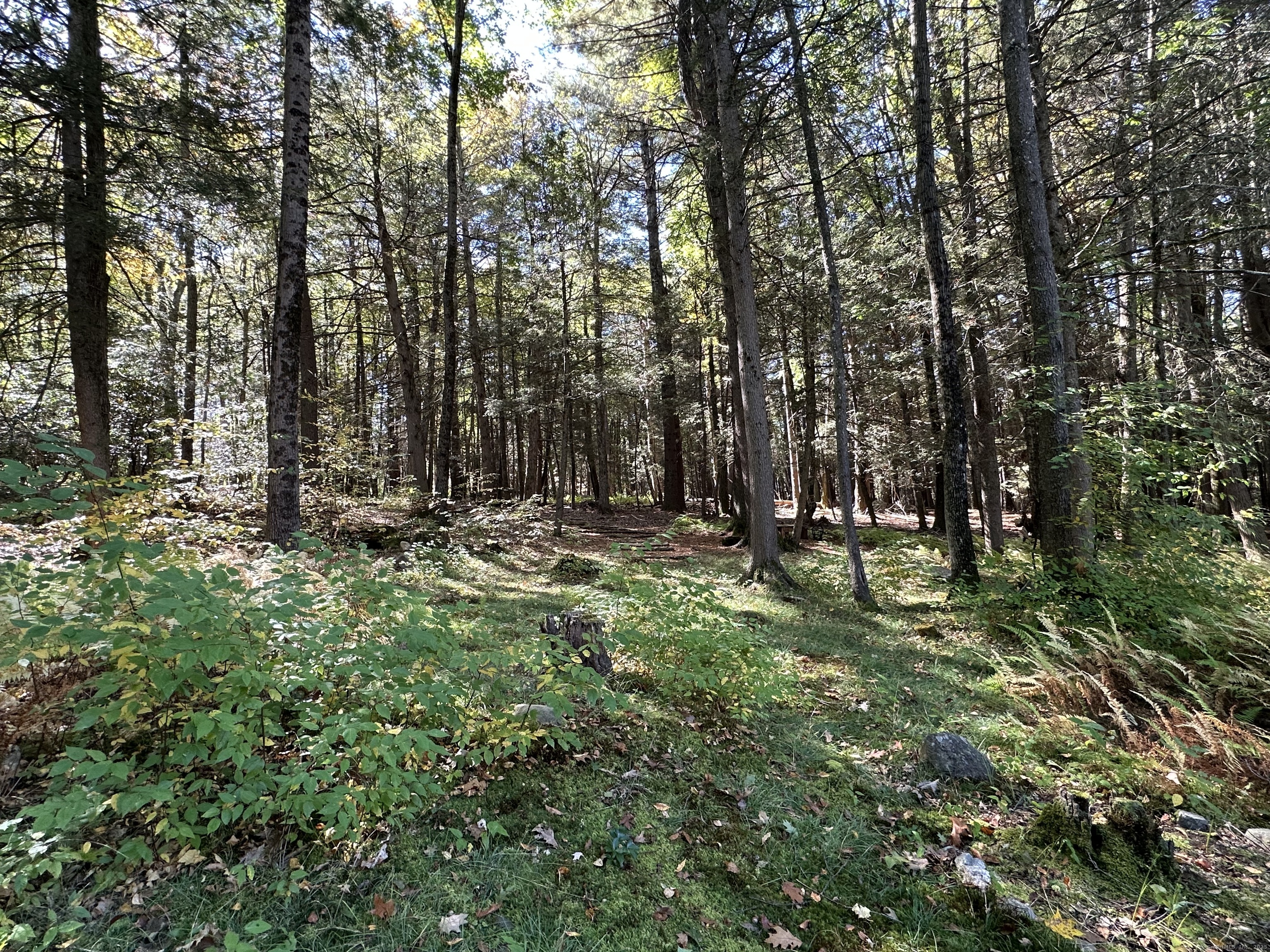 721 Marshall Lake Road