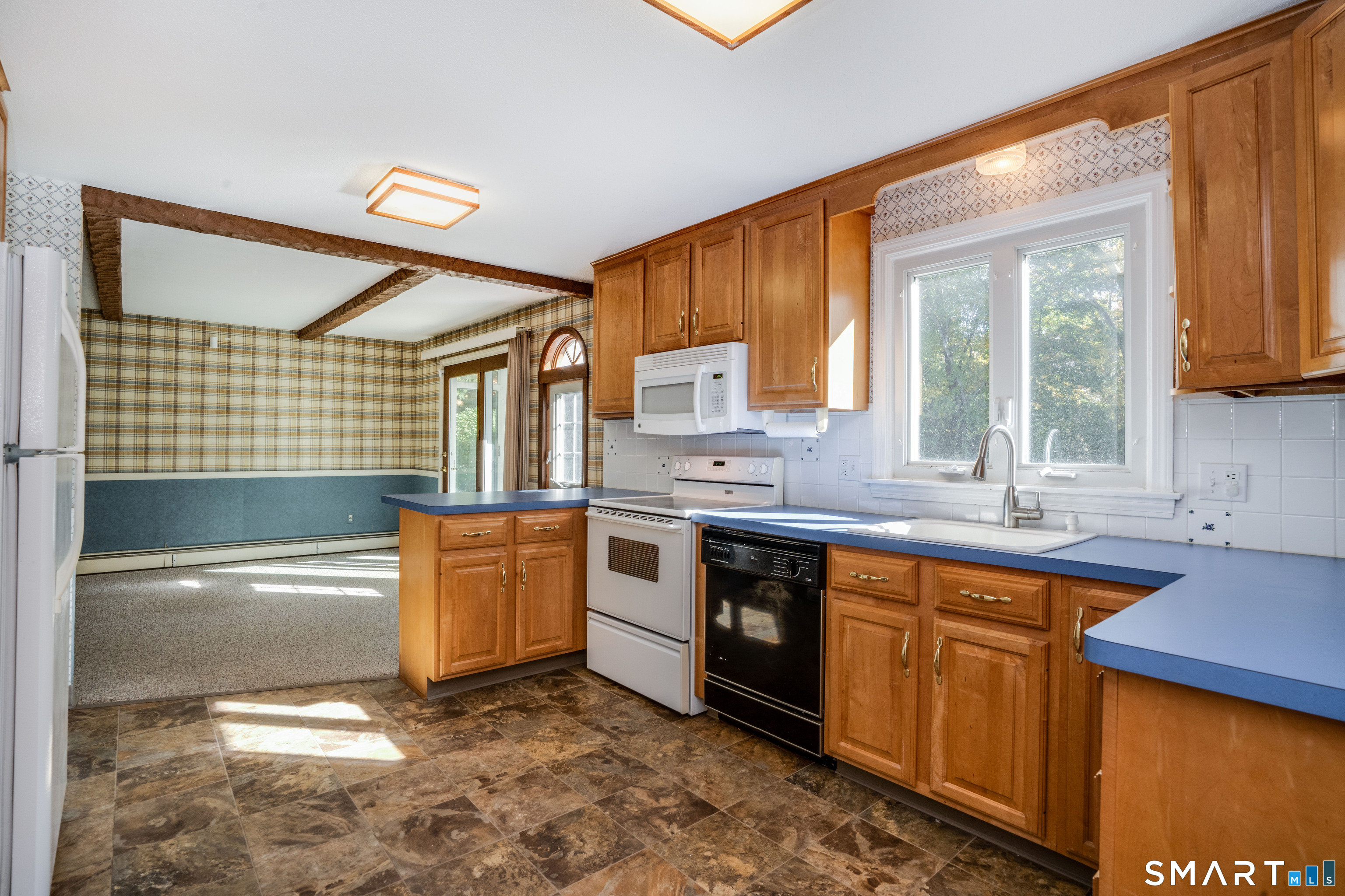 236 Scott Drive