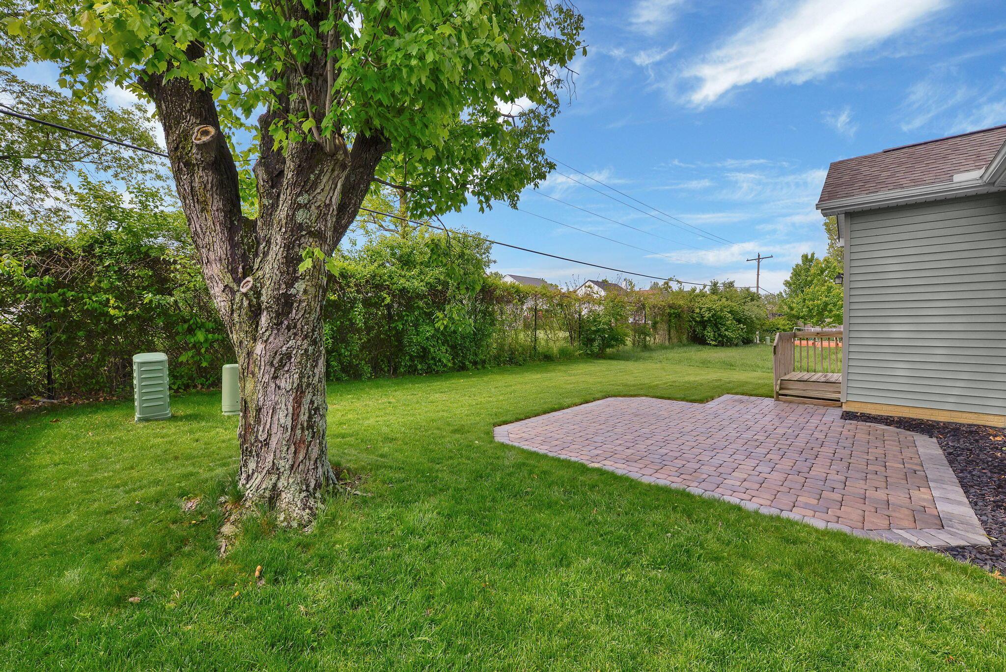 2989 Wolfbirch Drive