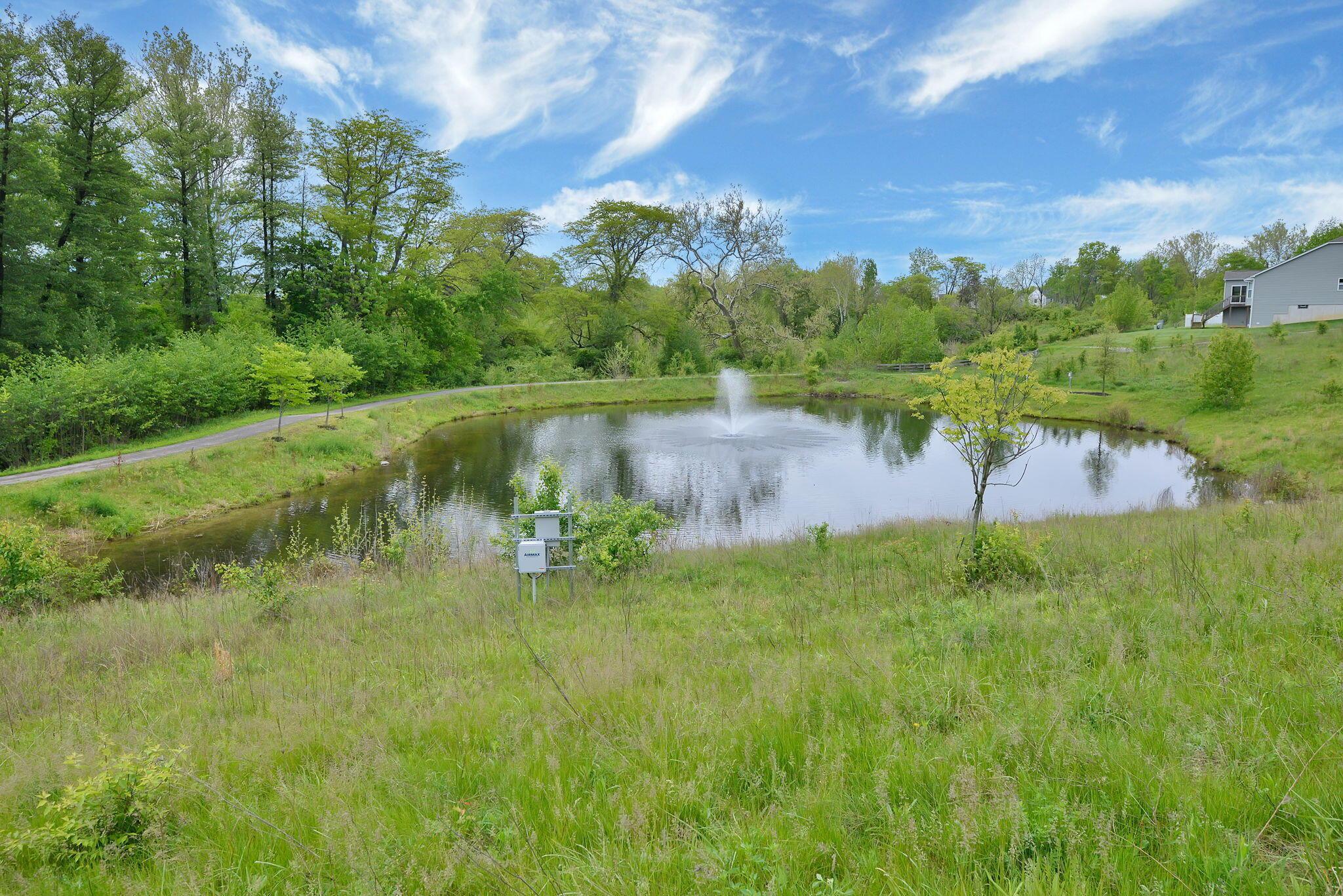 2989 Wolfbirch Drive