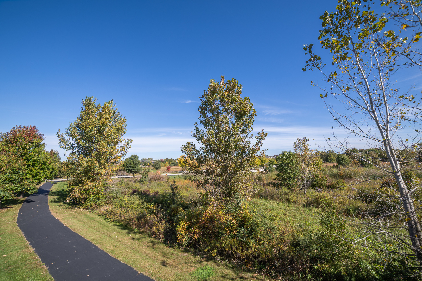16847 Ivy Lane Unit: 16847