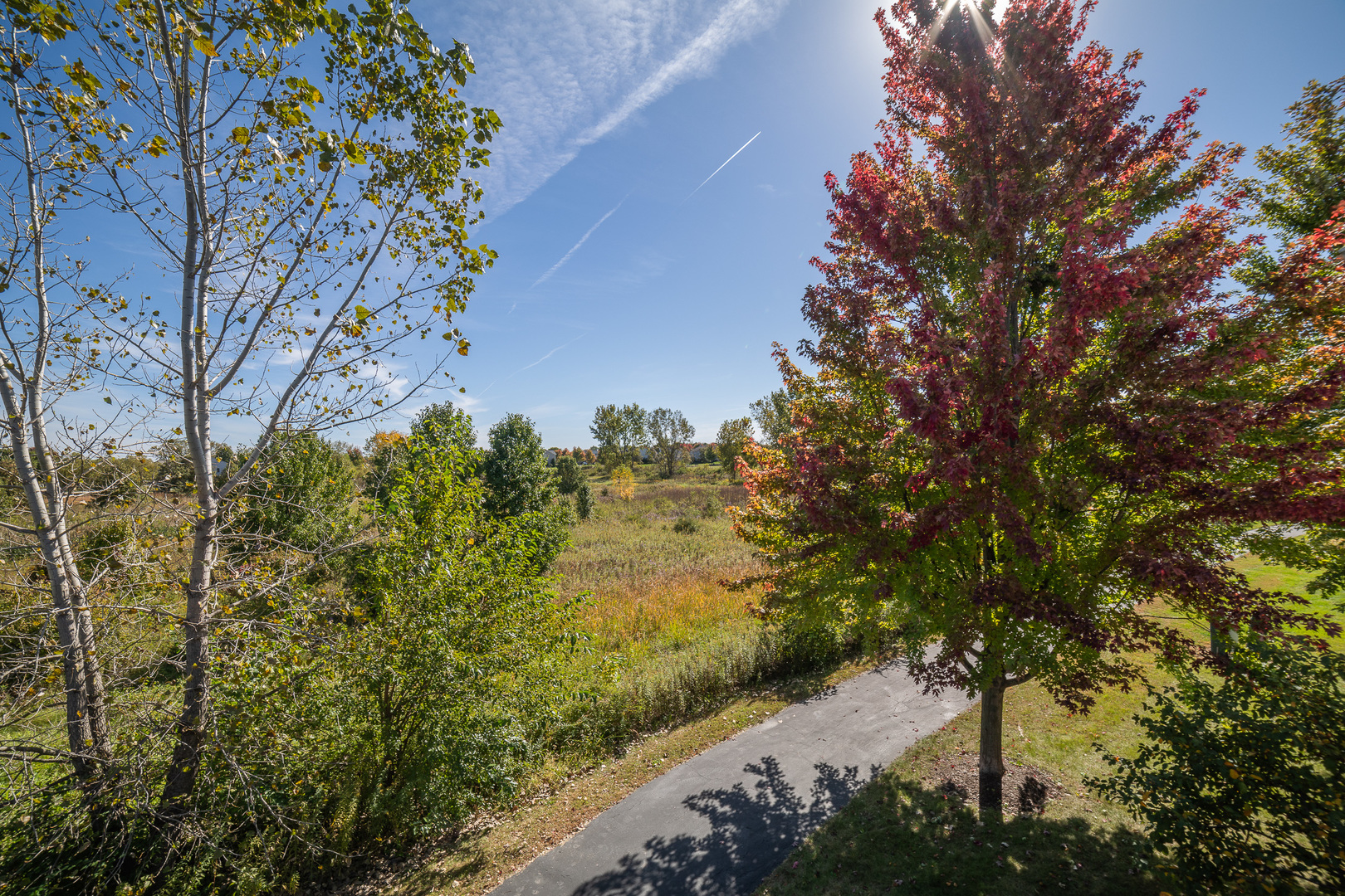 16847 Ivy Lane Unit: 16847