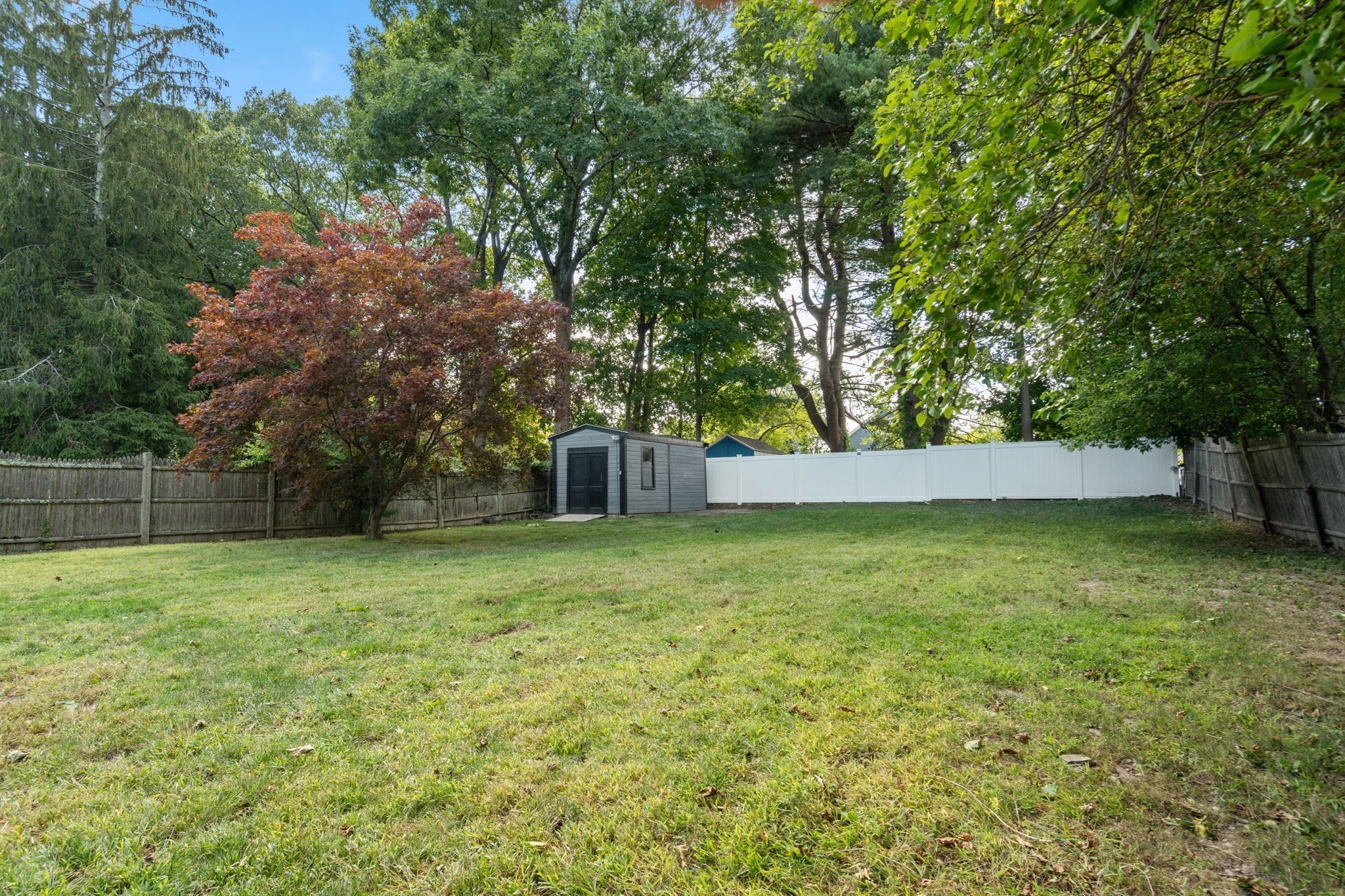 111 Williams Ave