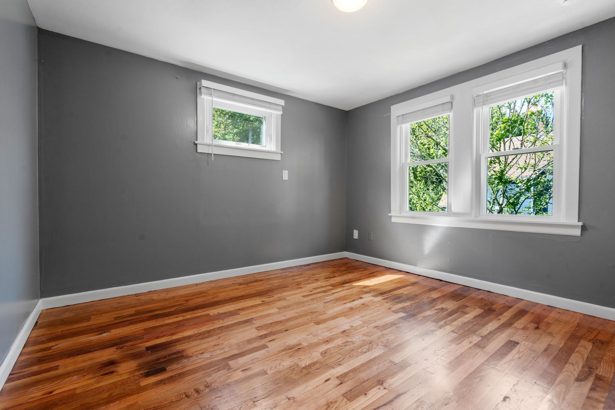 111 Williams Ave